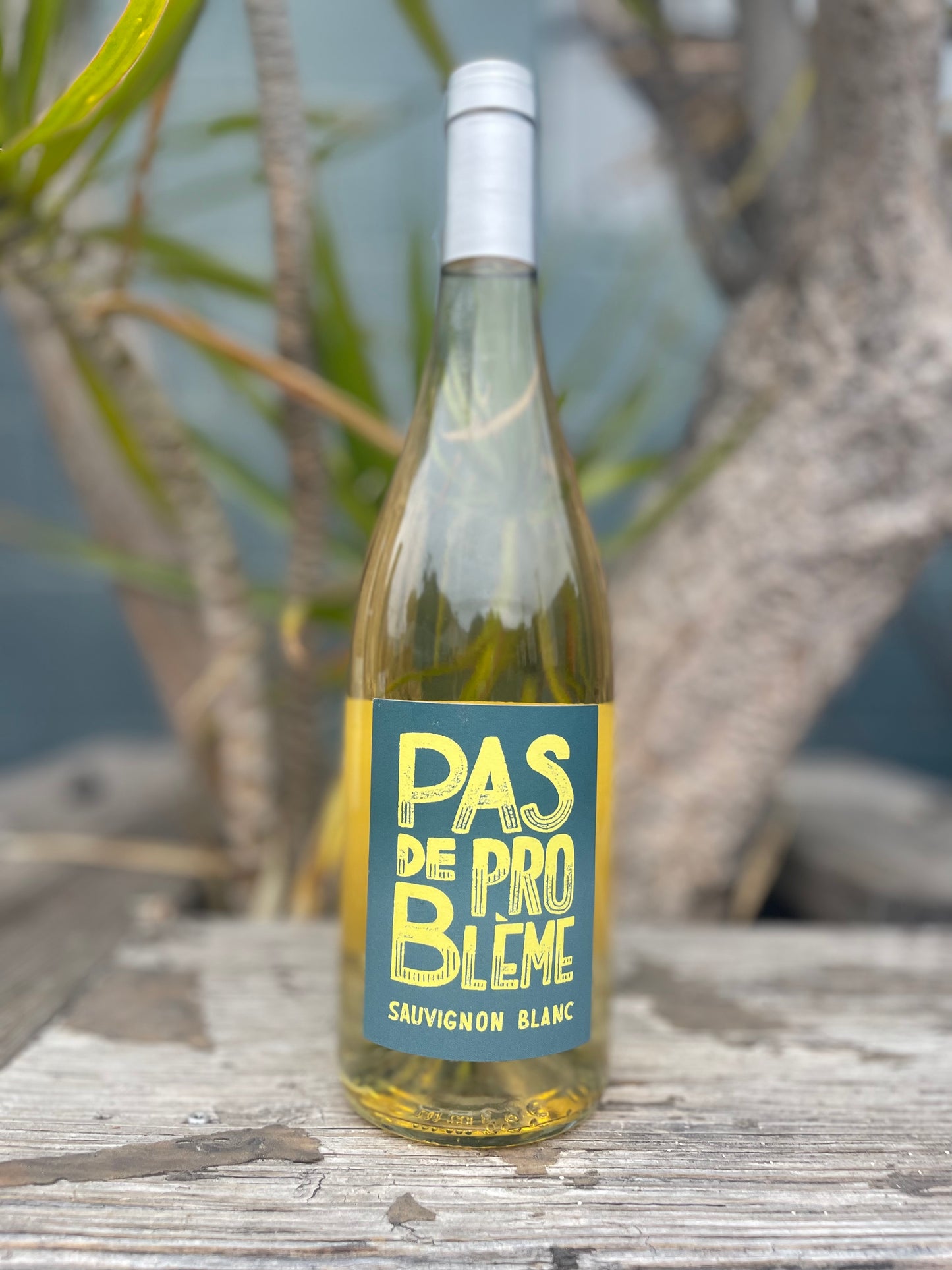 Oenoterra Pas de Problème Sauvignon Blanc 2020