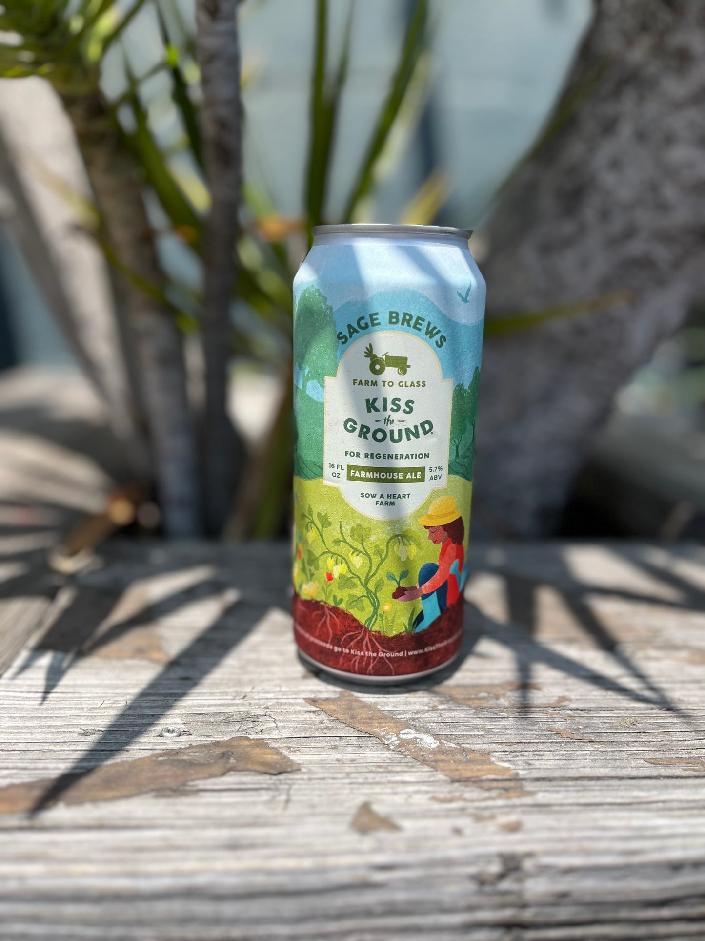 Sage Brews Kiss the Ground Farmhouse Ale CAN