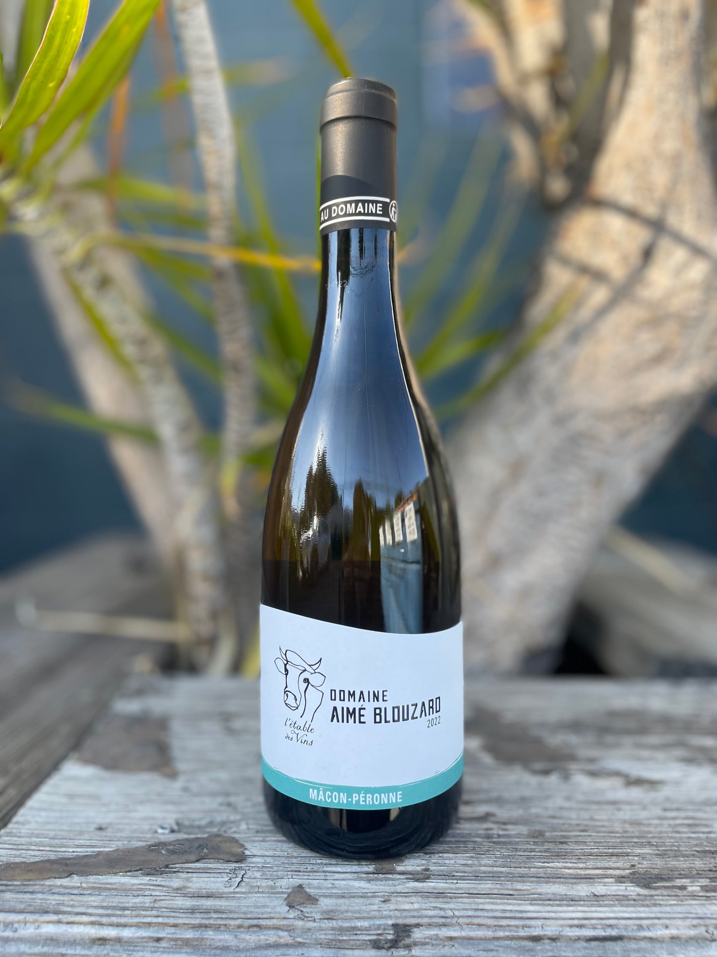 Domaine Aime Blouzard 2022