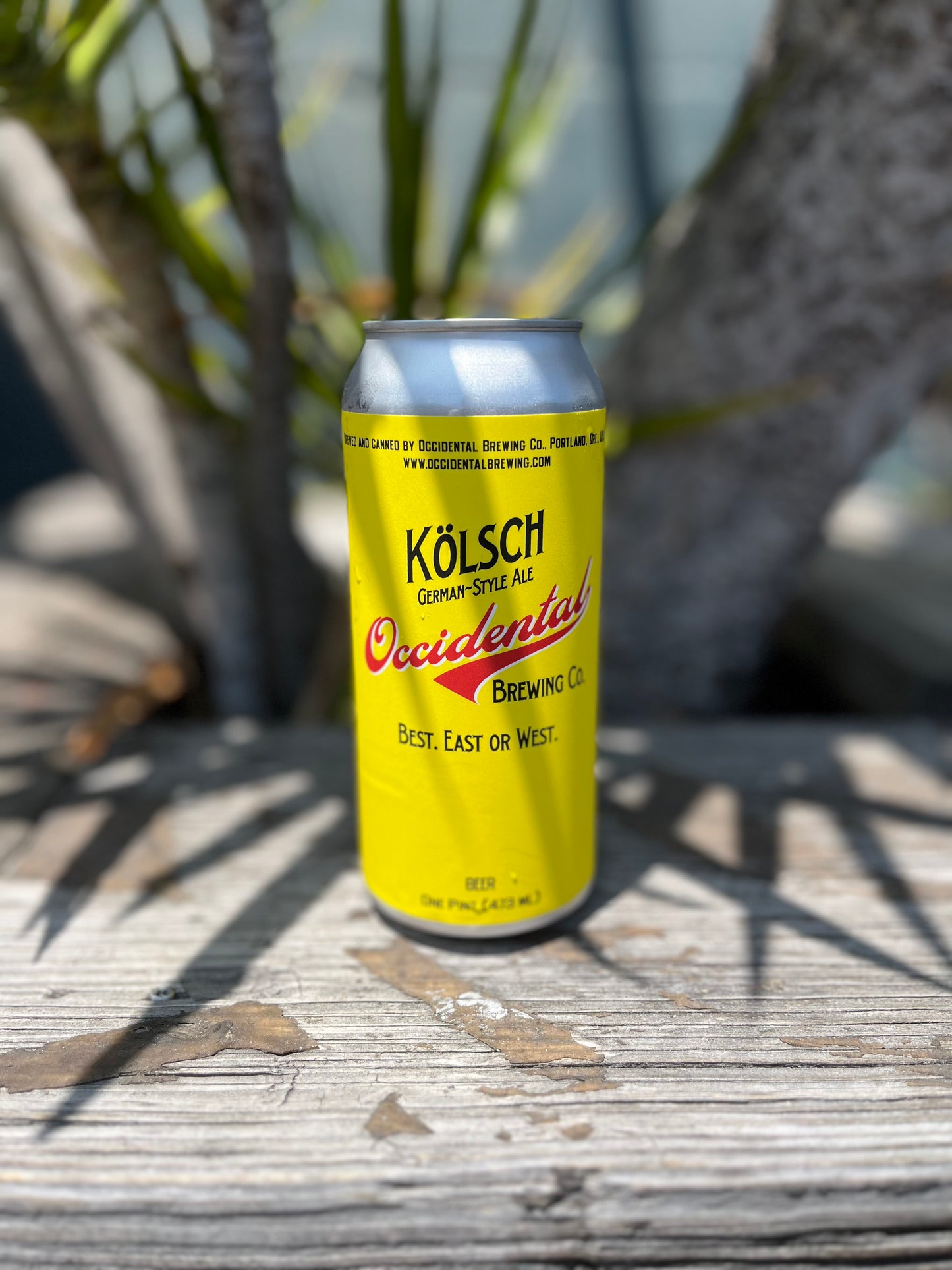 Occidental Kolsch CAN