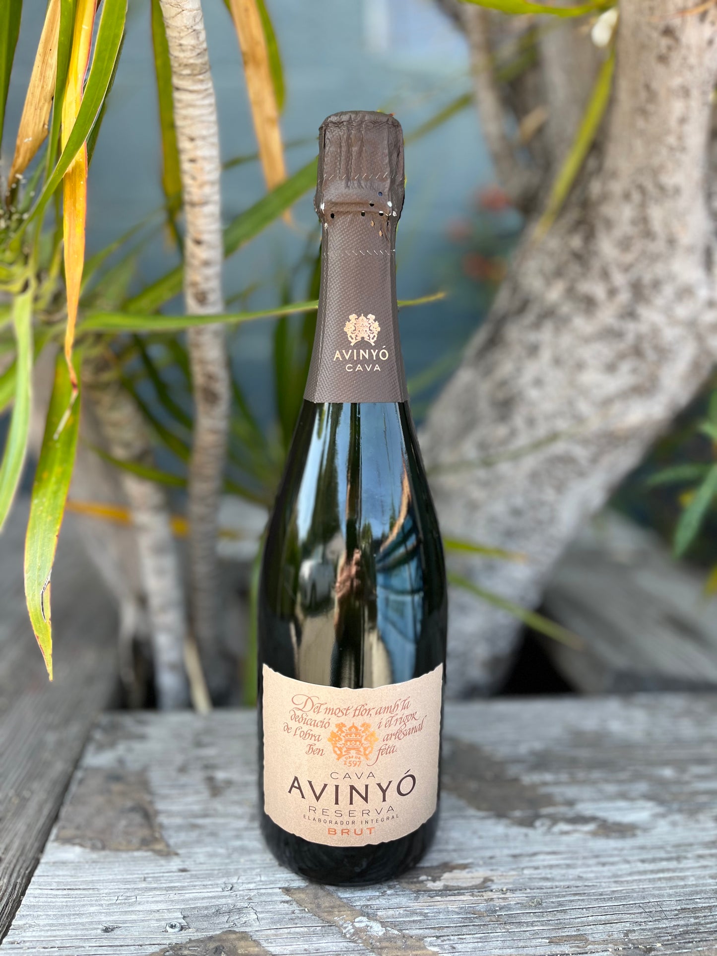 Avinyó Cava Reserva Brut 2022