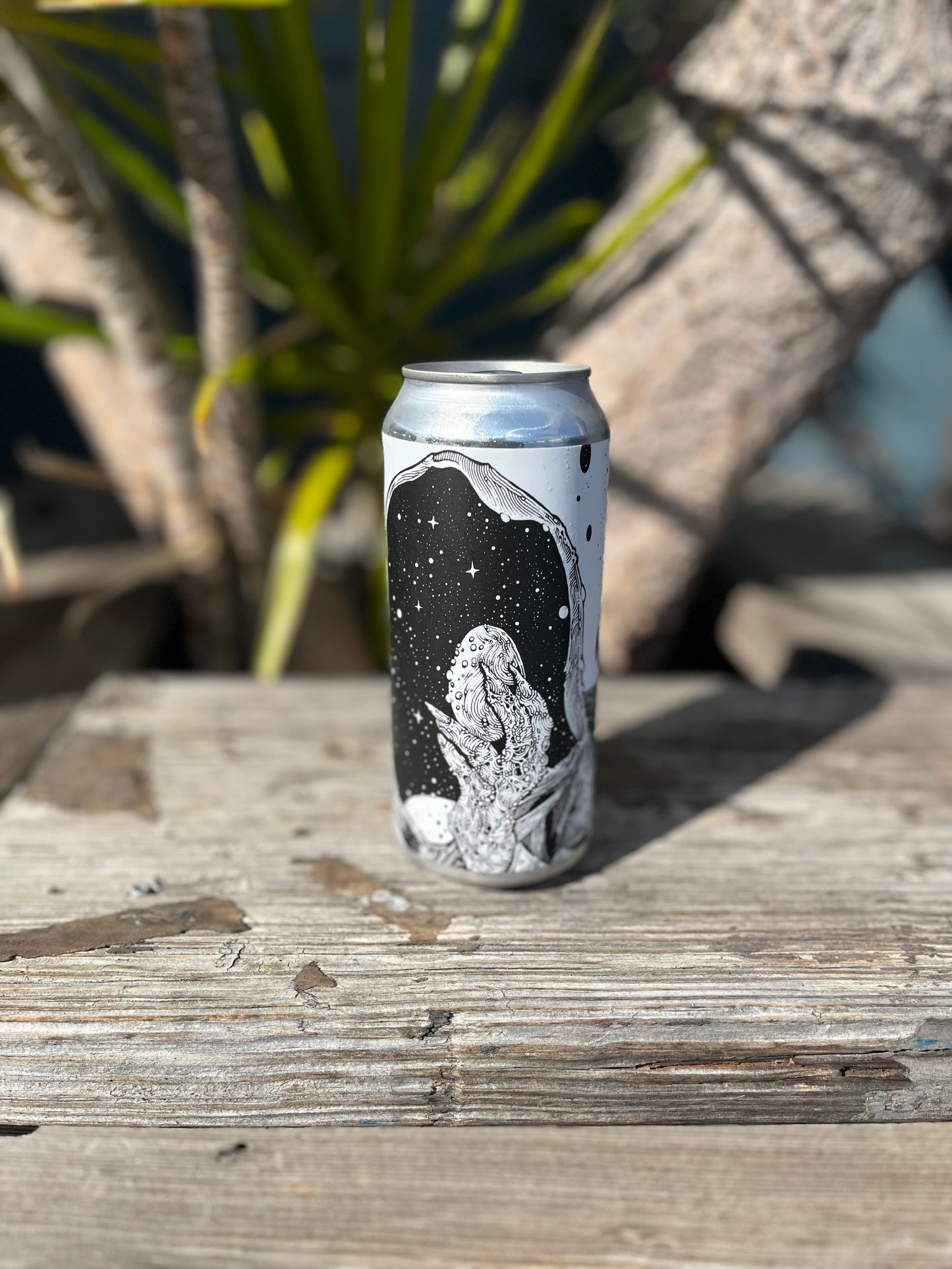 TDNE Foreteller Black Lager CAN