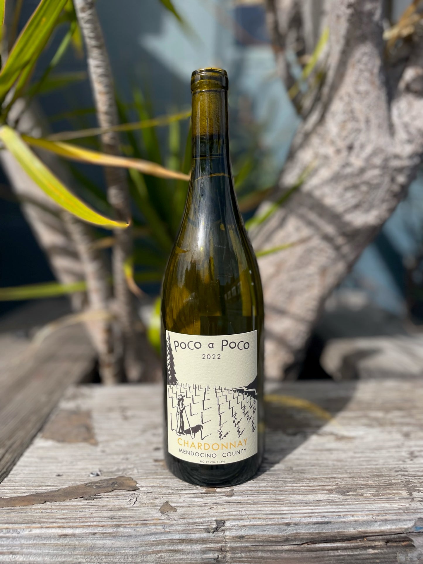 Poco a Poco Chardonnay Mendocino 2022
