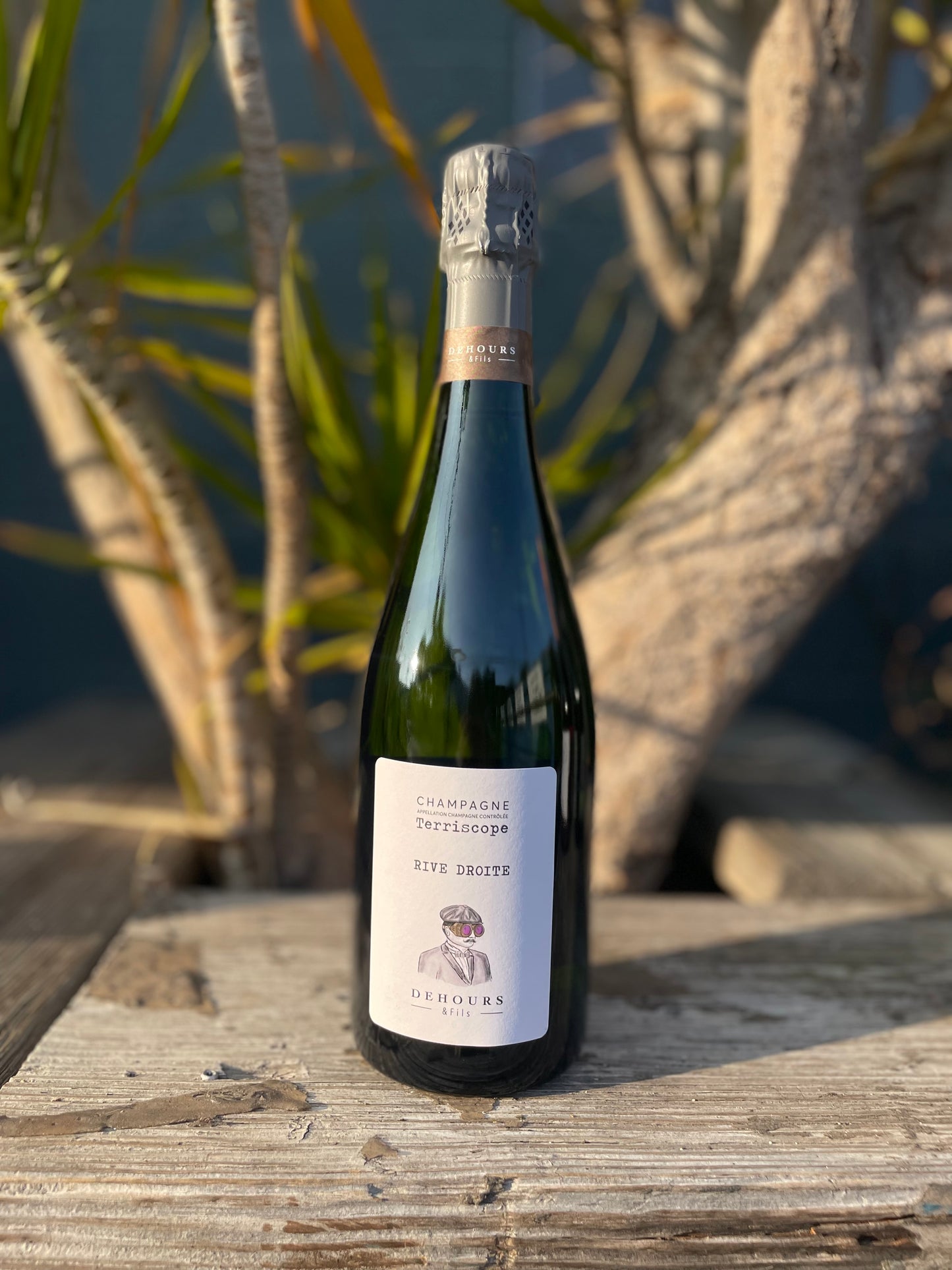 Dehours et Fils Terriscope Rive Droite Extra Brut NV