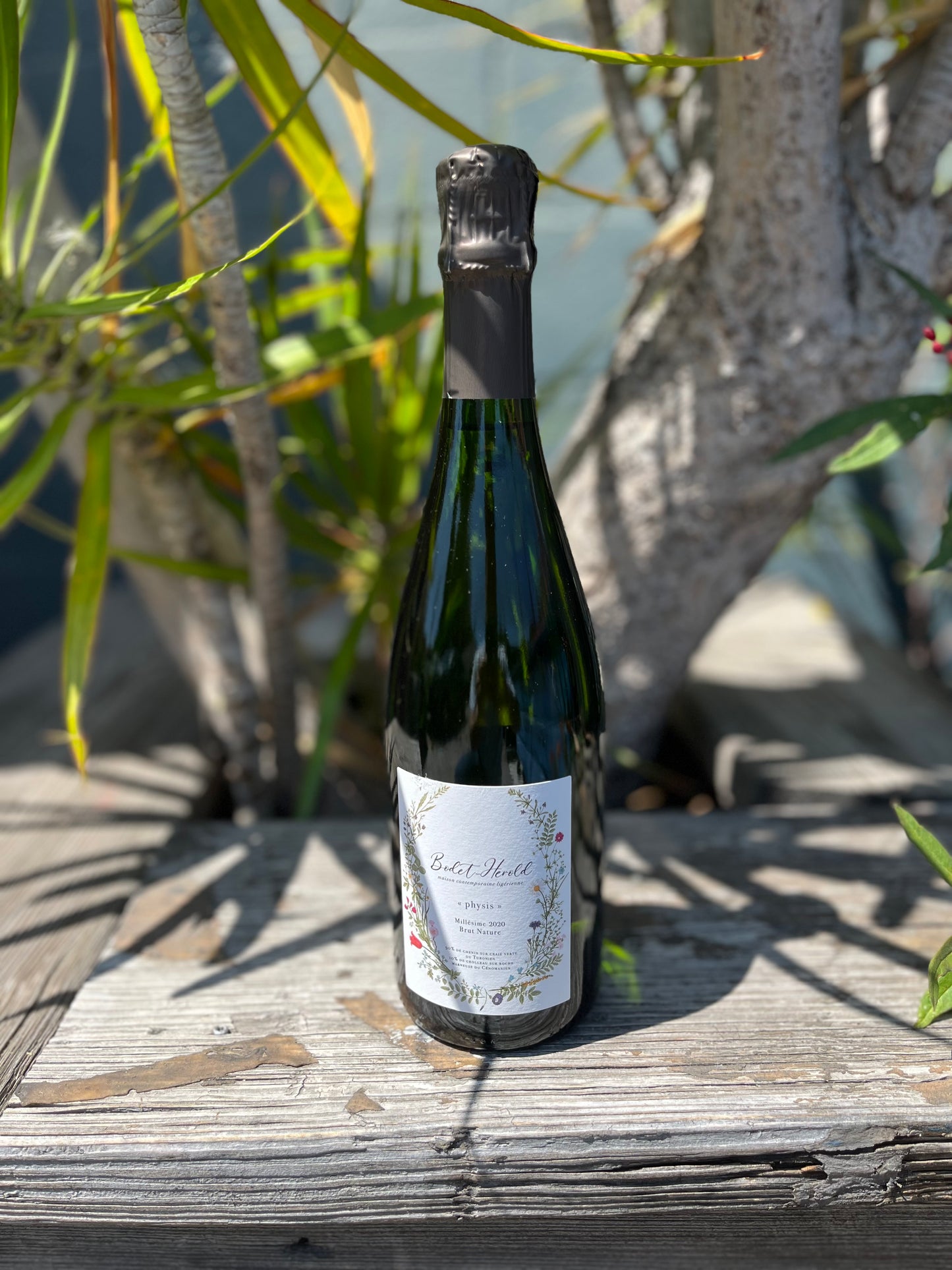 Bodet Herold Physis Brut Nature 2021