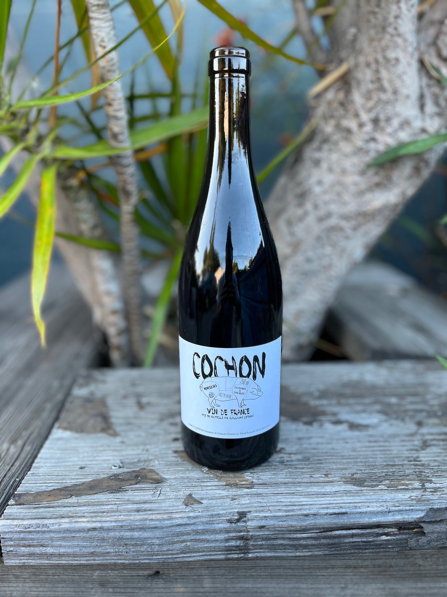 Sulauze Cochon VDF Rouge 2023