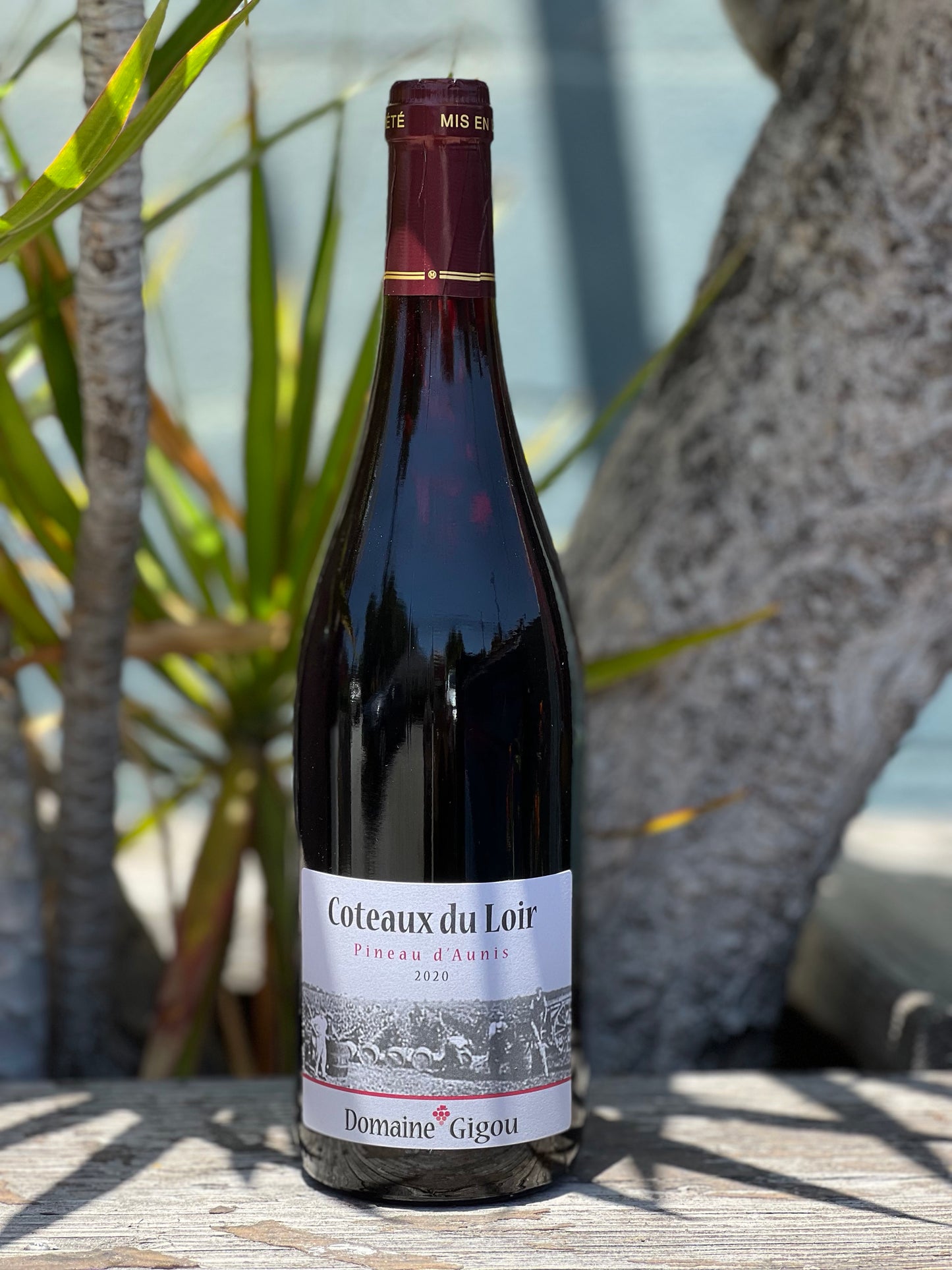 Joel Gigou, Coteaux du Loir Pineau D'Aunis 2020