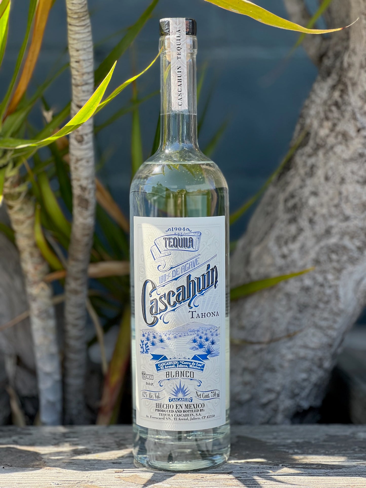 Cascahuin Tahona Tequila