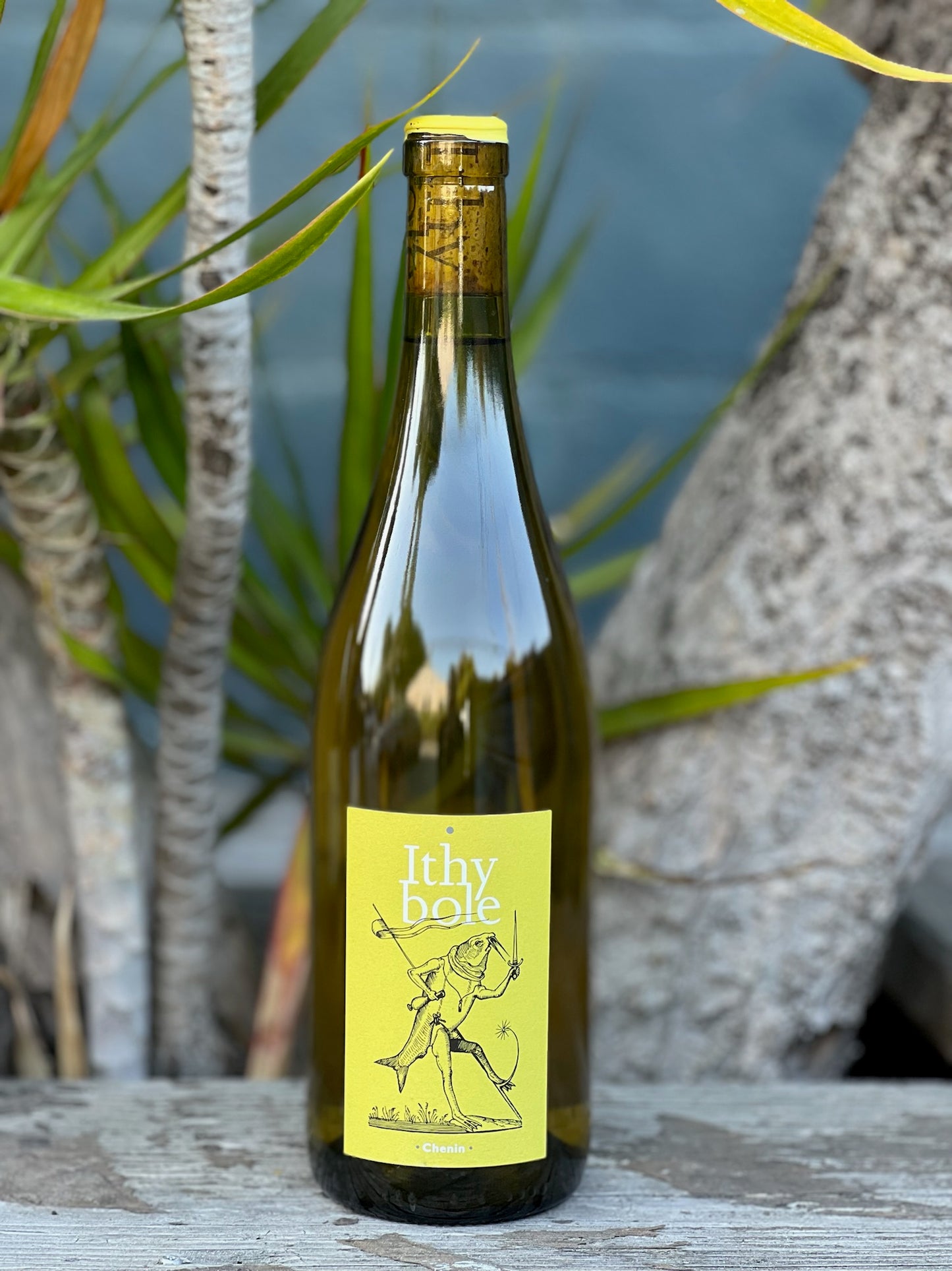 Domaine de Montrieux Ithybole Chenin 2020