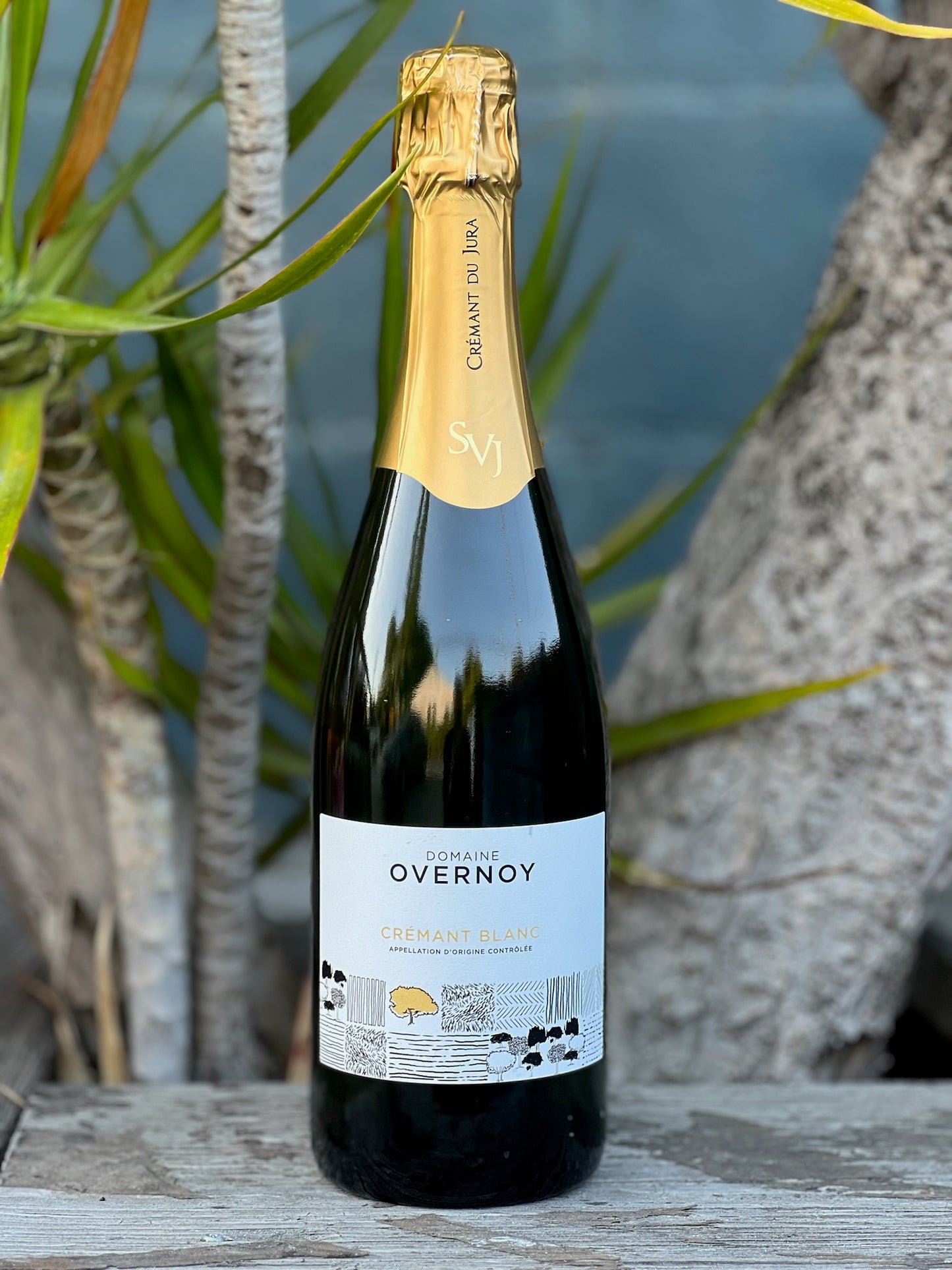 Domaine Overnoy Cremant Du Jura Blanc NV
