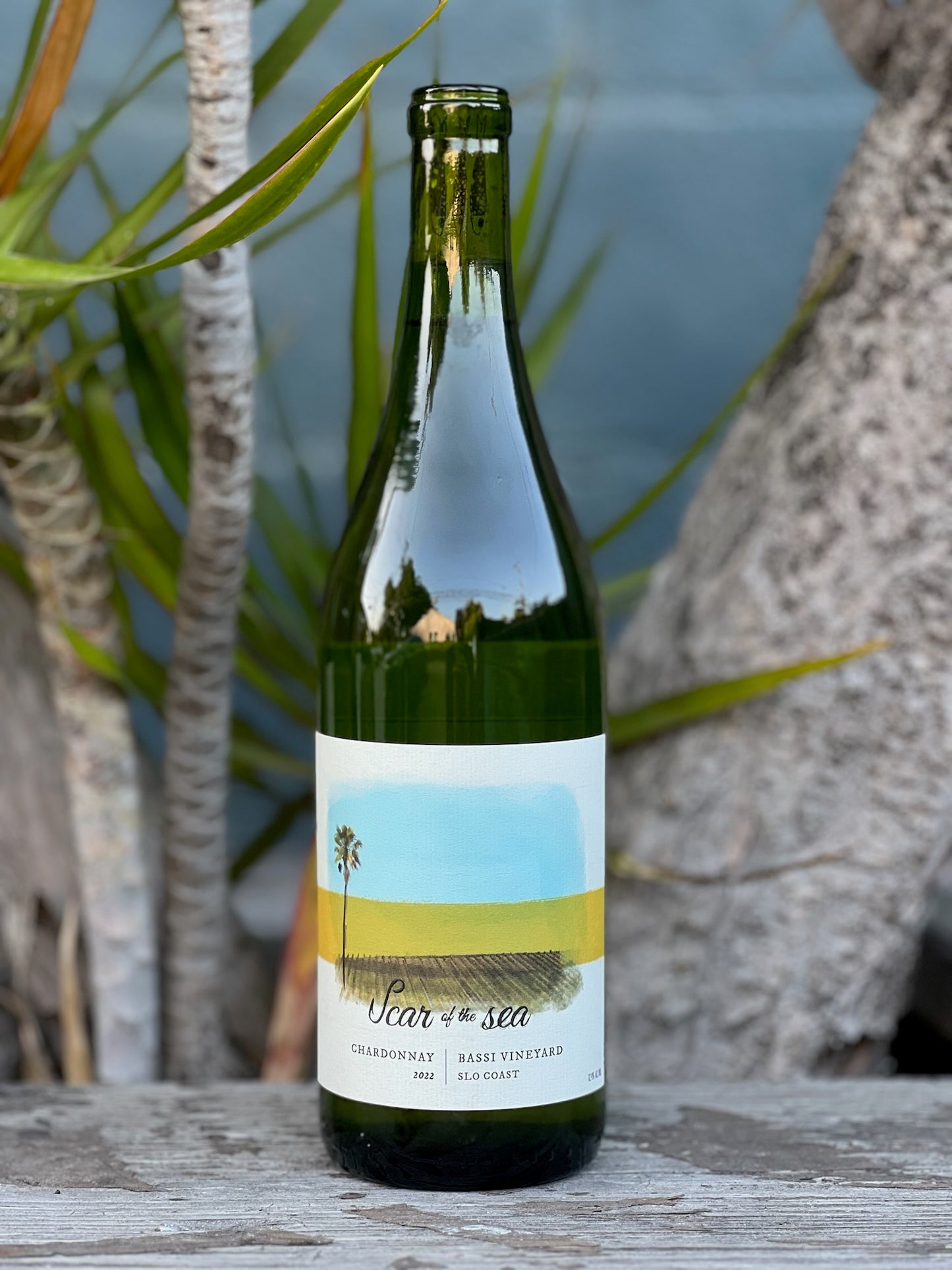 Scar of the Sea Bassi Vineyard Chardonnay 2022