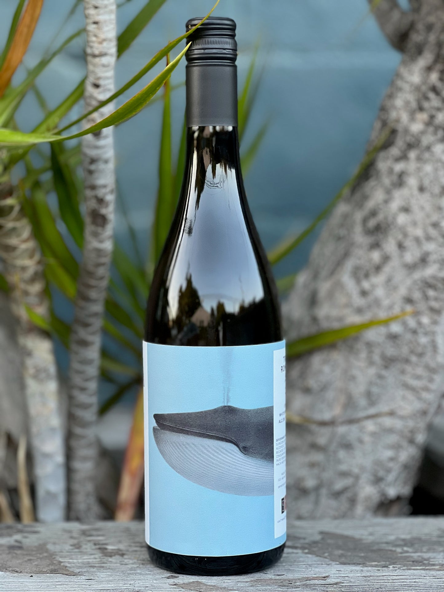 Noelia Ricci Bro Forli Trebbiano Bianco 2020