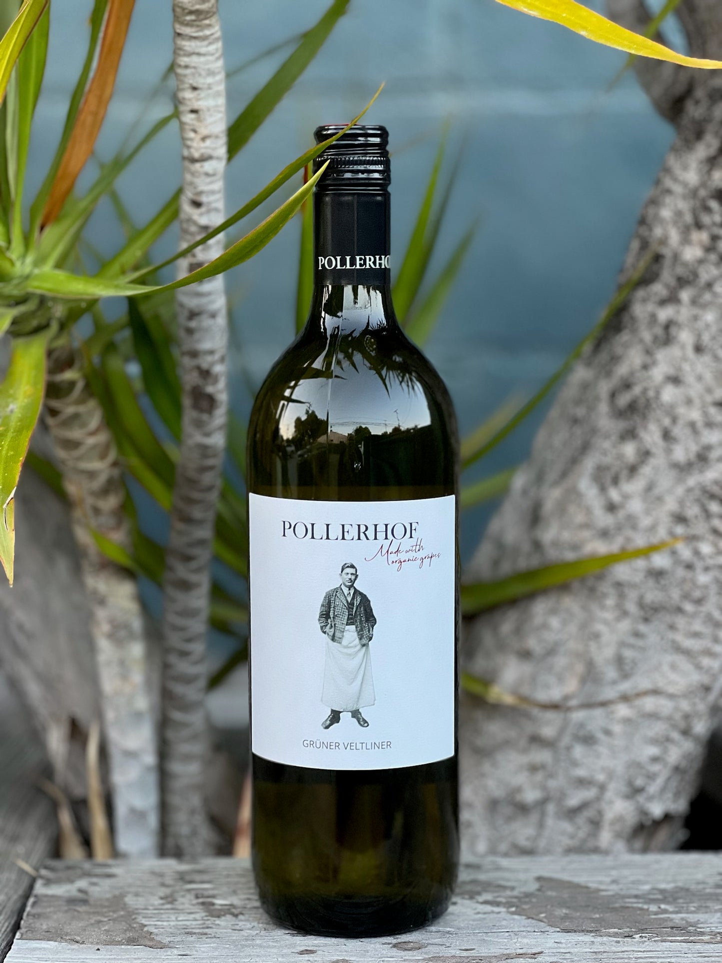 Der Pollerhof Gruner Veltliner 2023