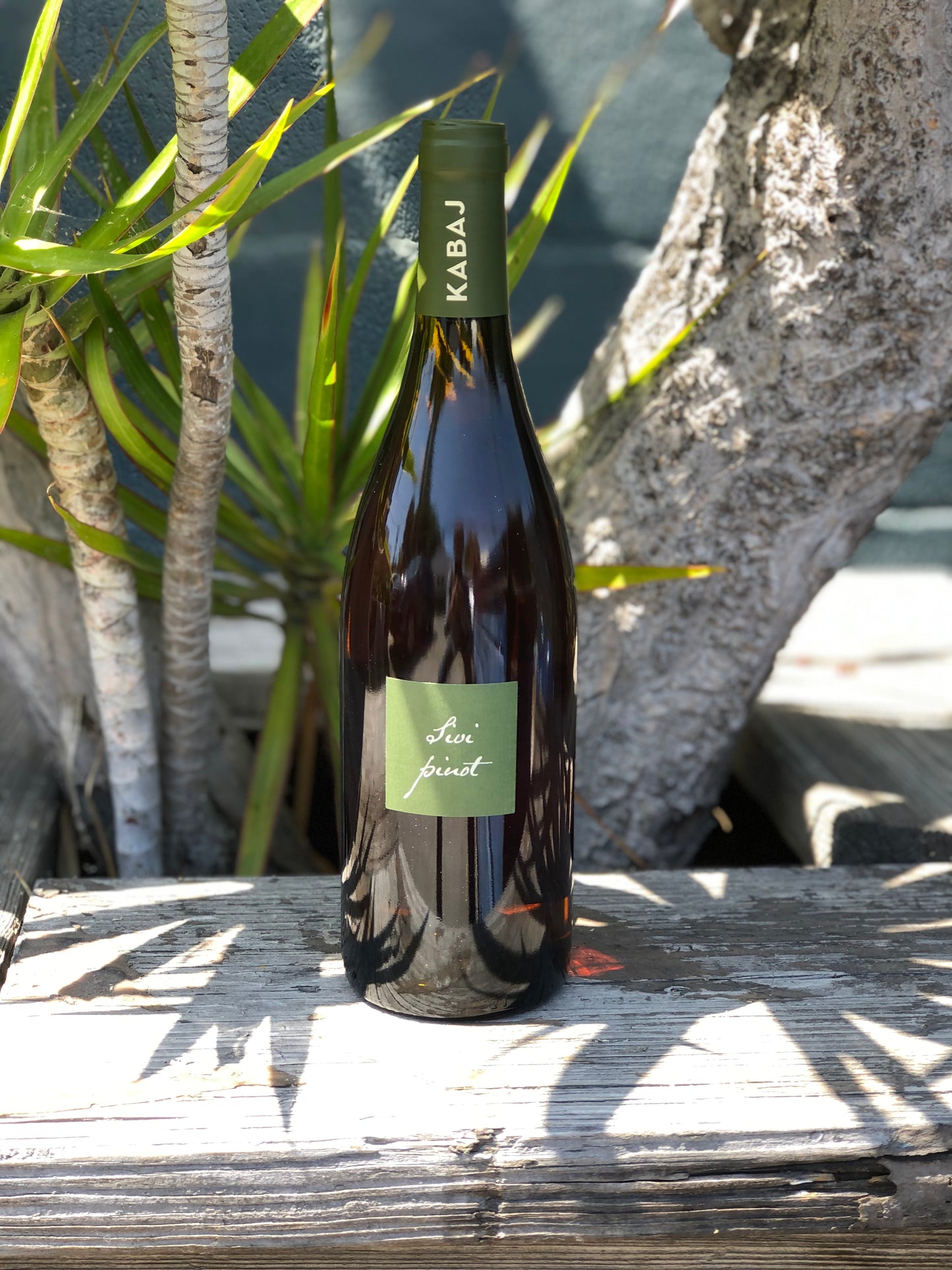 Kabaj Sivi Pinot 2020