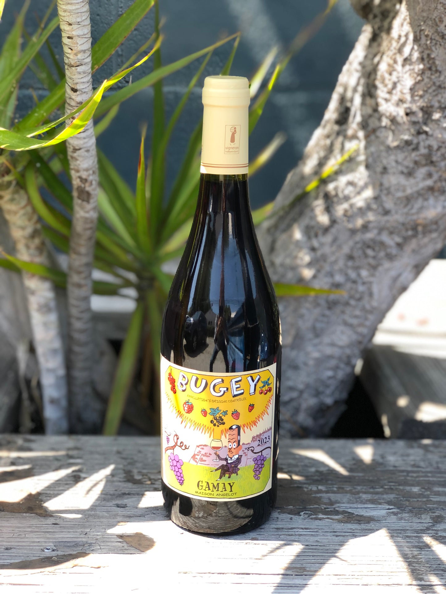 Angelot Bugey Gamay 2024