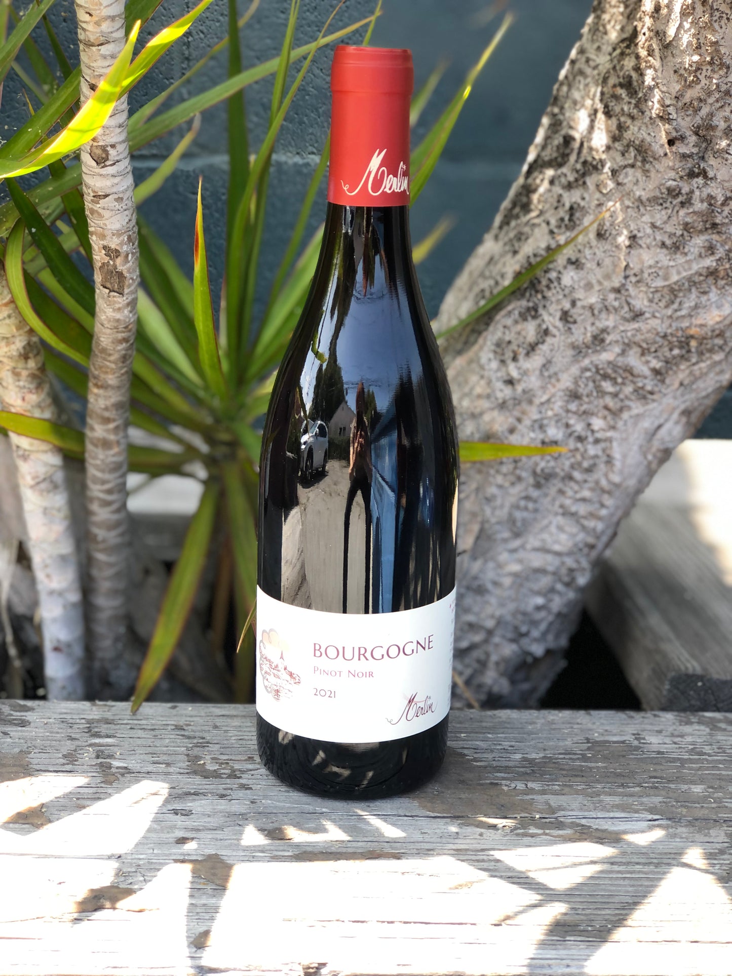 Olivier Merlin Bourgogne Rouge 2021