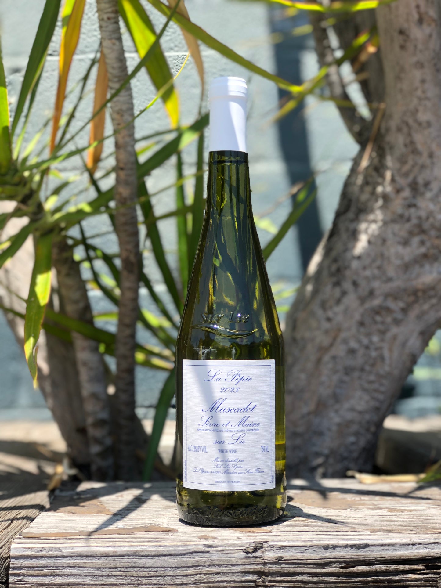 Domaine de la Pépière Muscadet-de-Sevre-et Maine La Pépie 2025