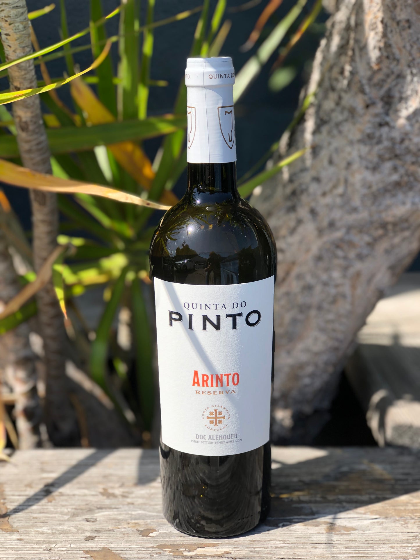 Quinta do Pinto Arinto Reserva 2021