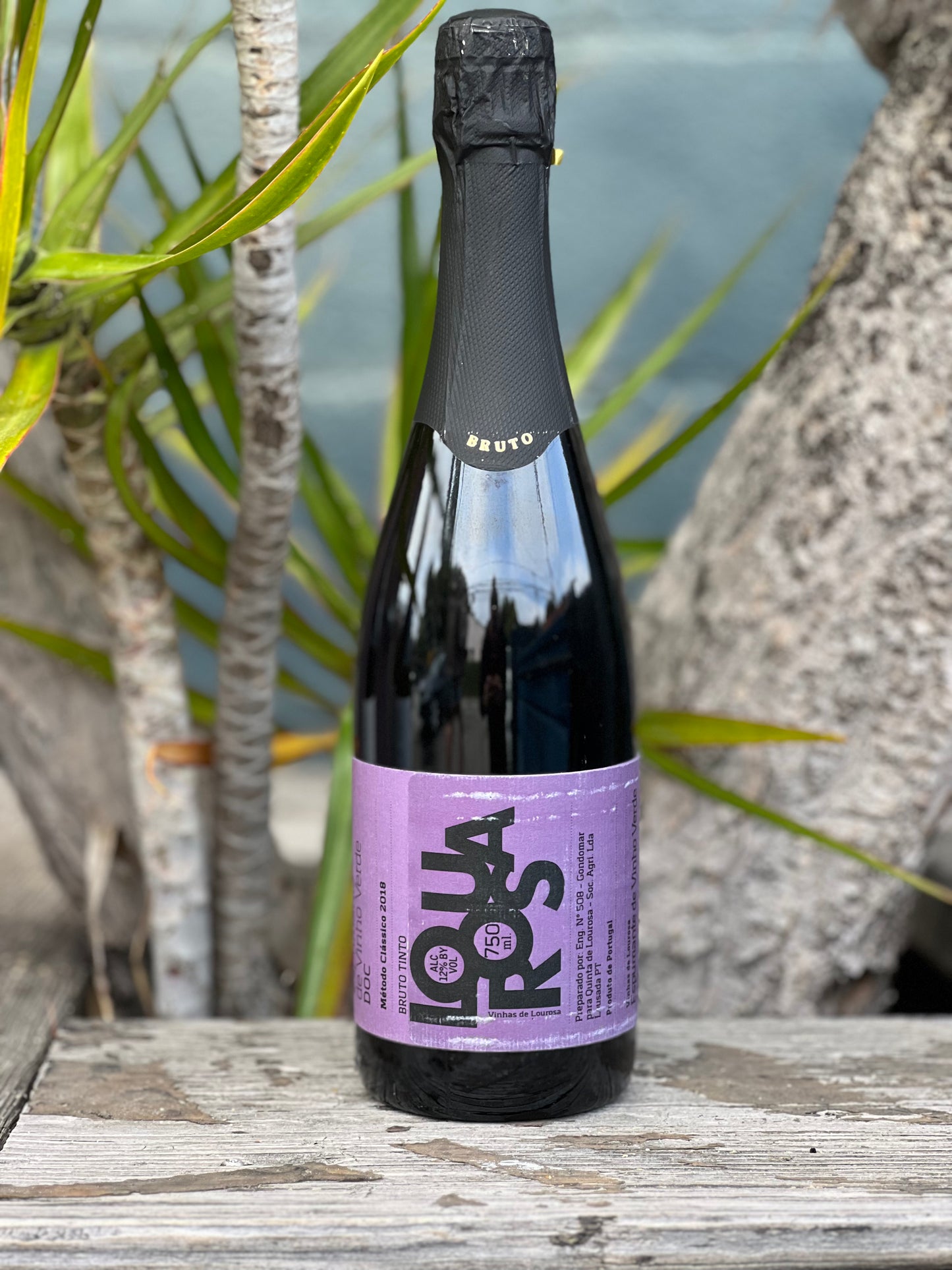 Quinta de Lourosa 2018 Espumante de Vinho Verde Bruto Tinto