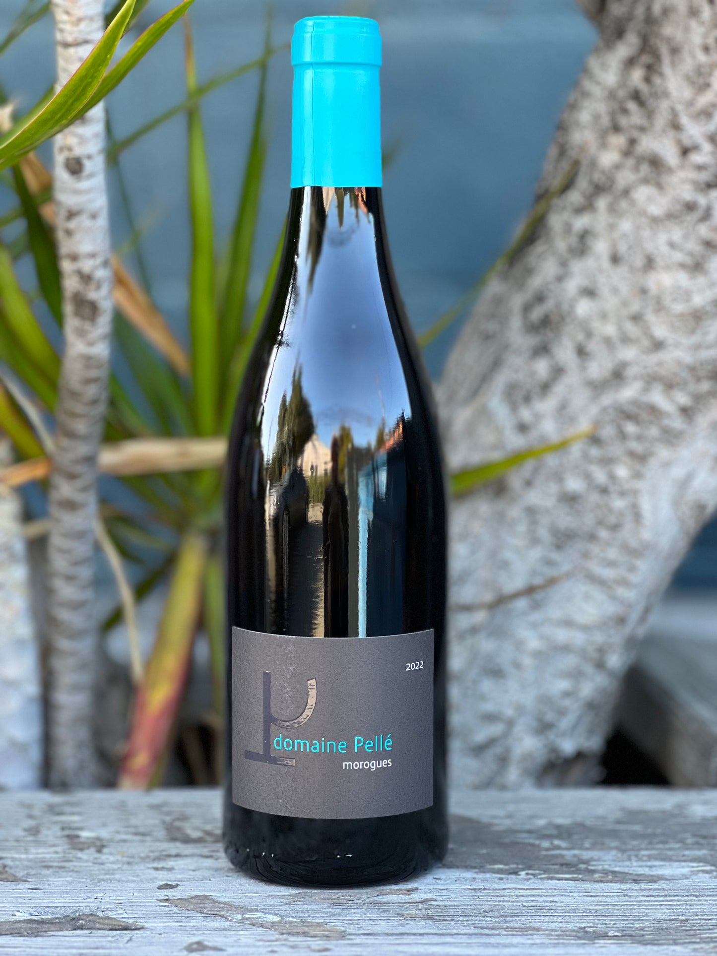 Domaine Henry Pelle Menetou-Salon Blanc Morogues 2023