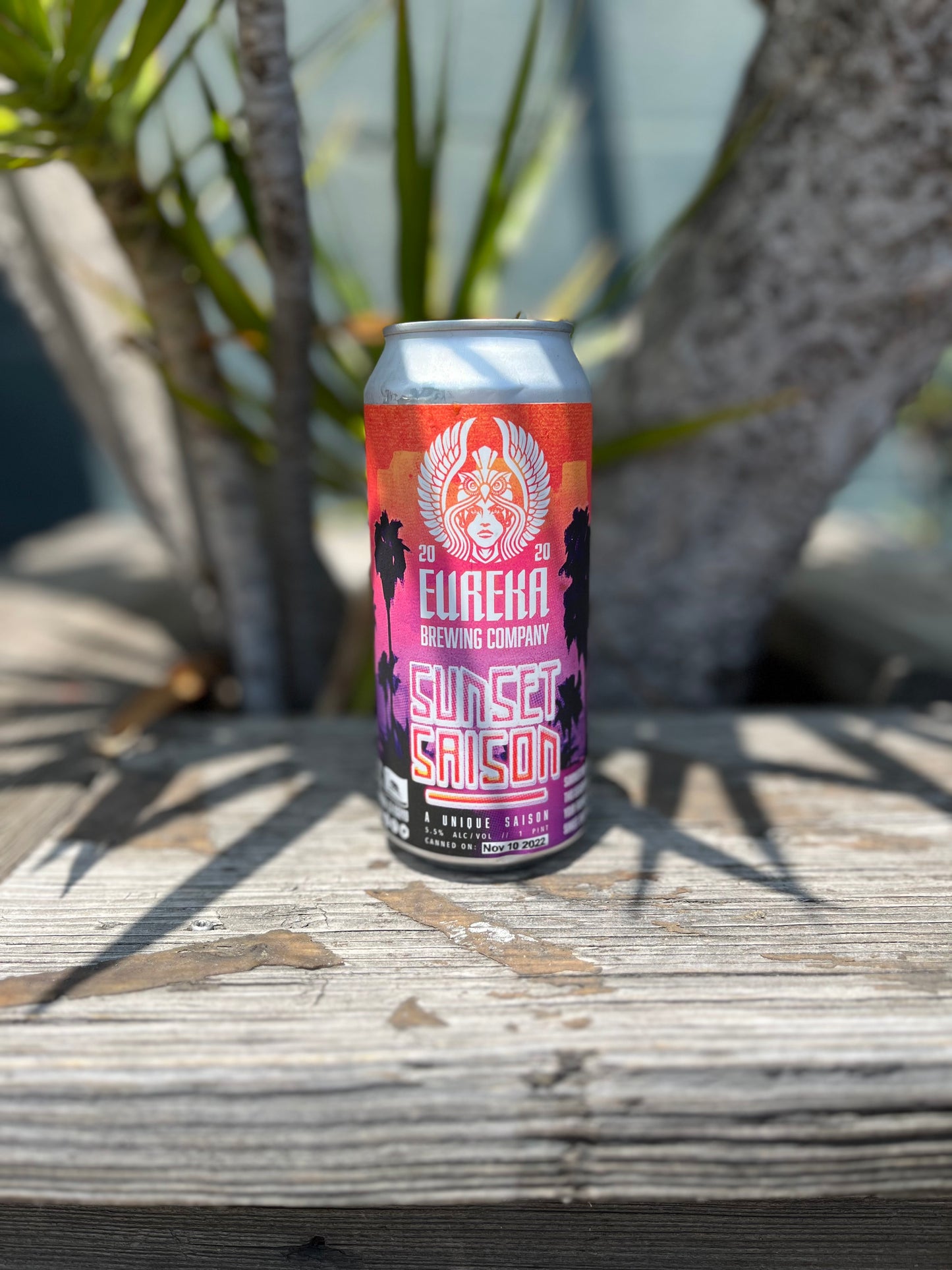 Eureka Brewing Sunset Saison CAN