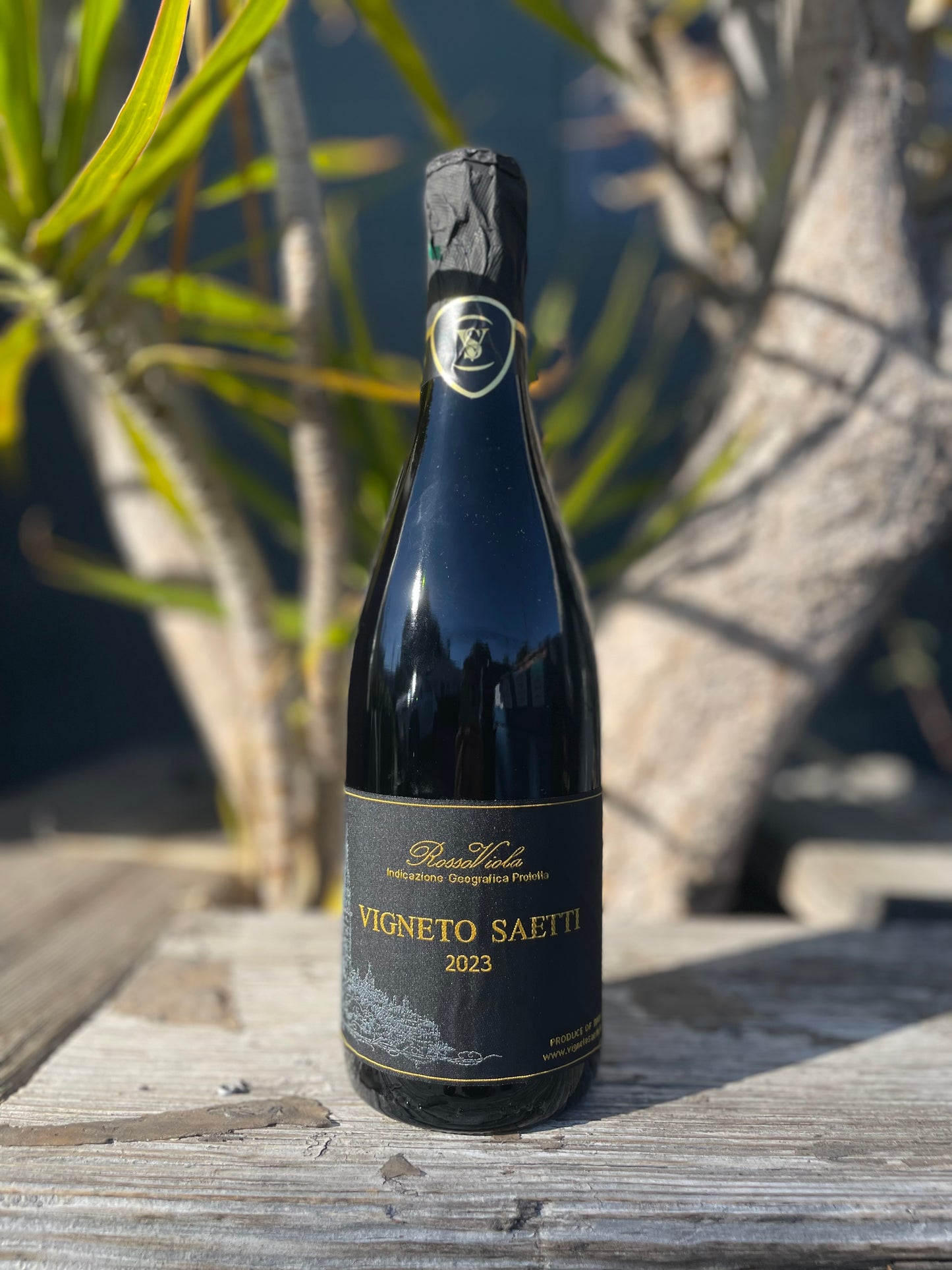 Saetti Lambrusco Salamino RossoViola 2023