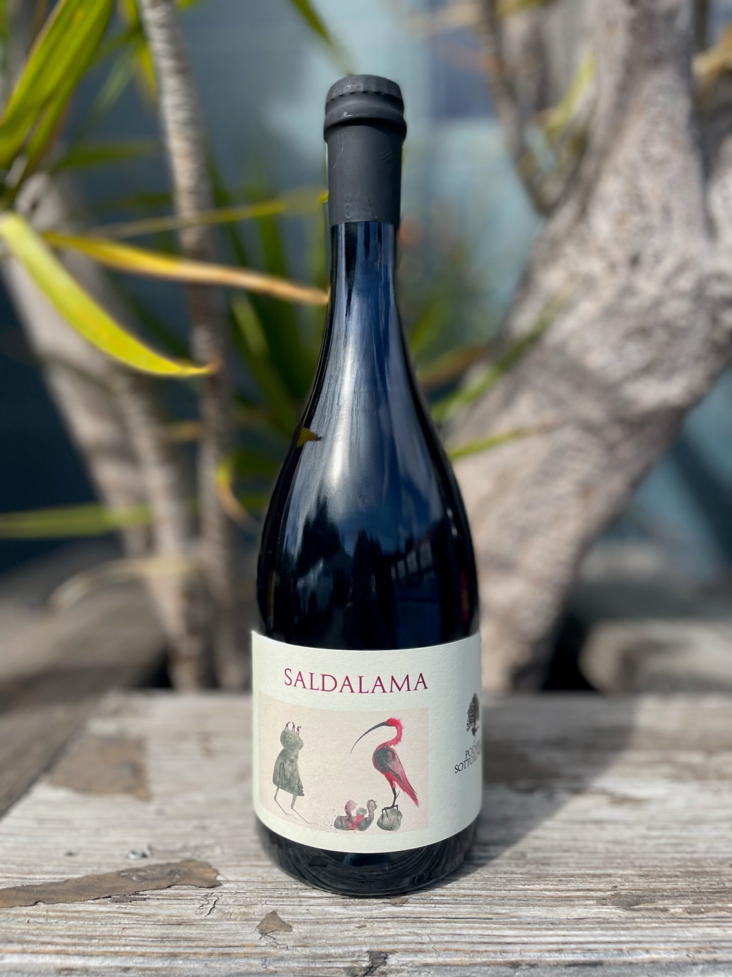 Podere Sottoilnoce Saldalama Lambrusco NV