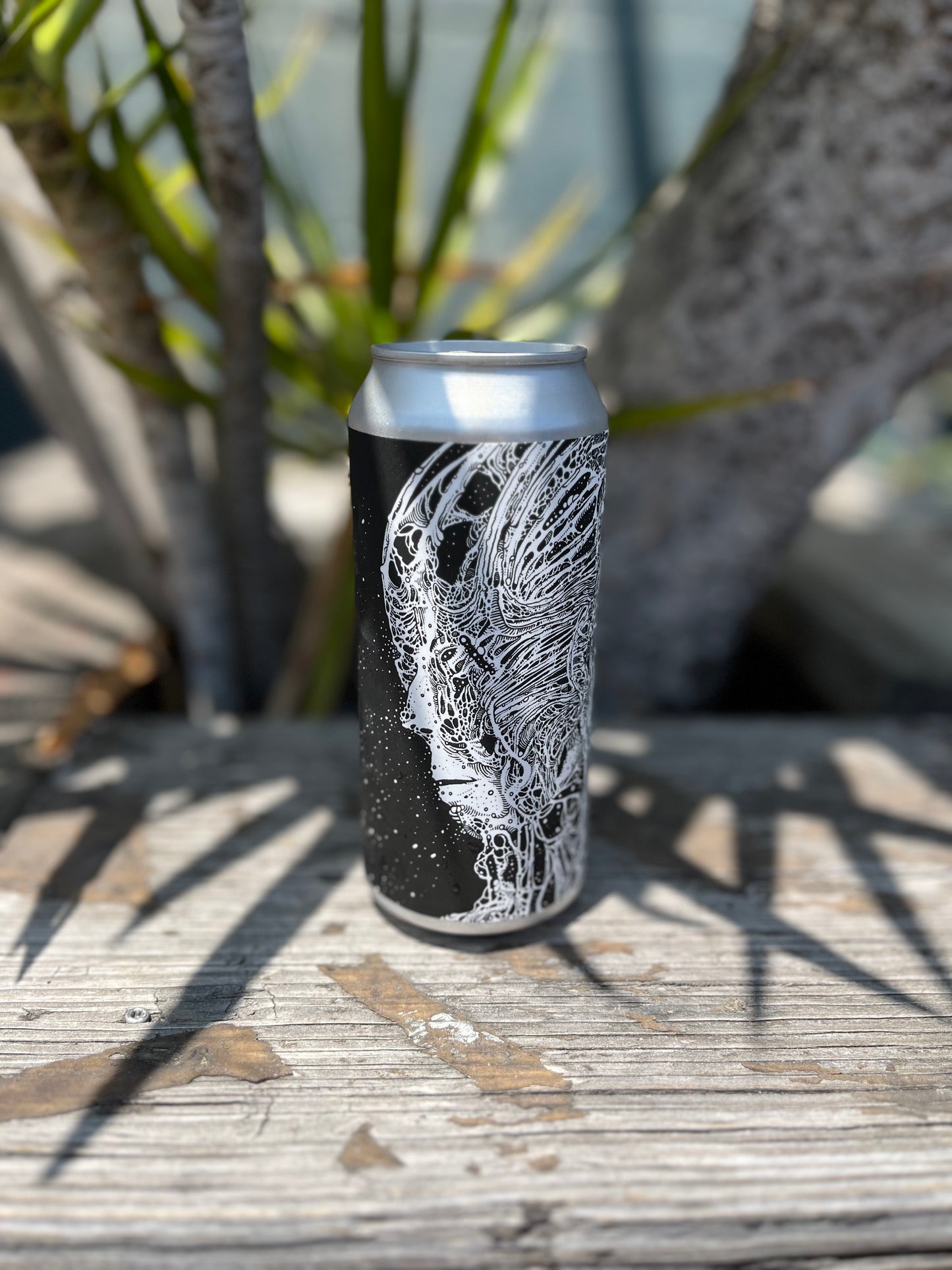 TDNE Spirit Molecule Hazy IPA CAN