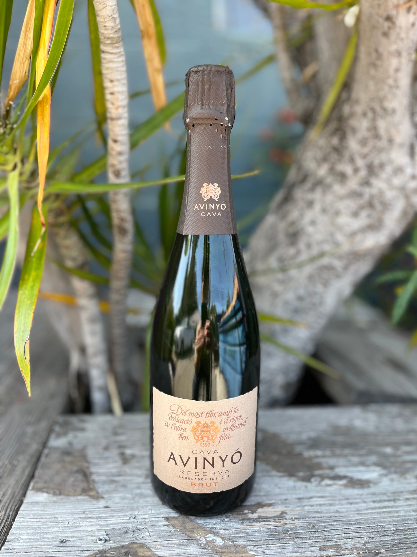 Avinyó Cava Reserva Brut 2021