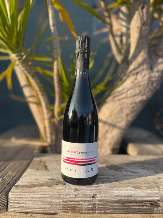 Opera02 Lambrusco di Mondena Brut 2024