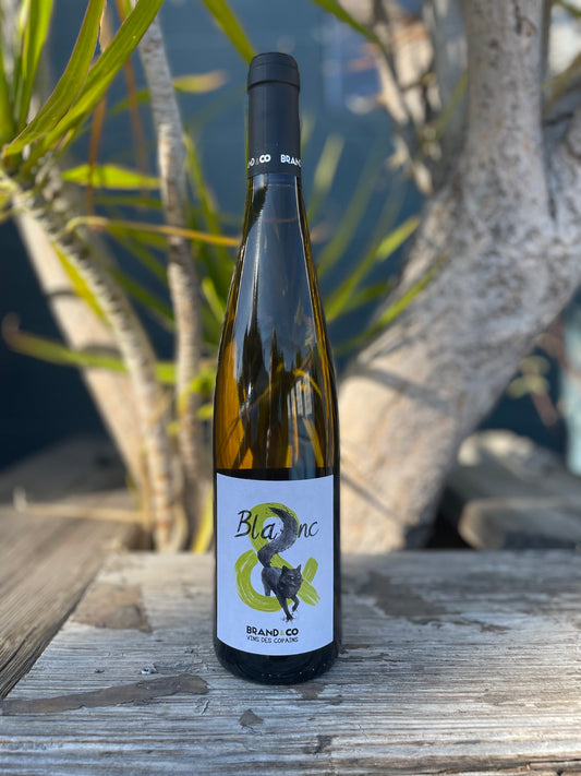 Brand & Co The New One Riesling 2020