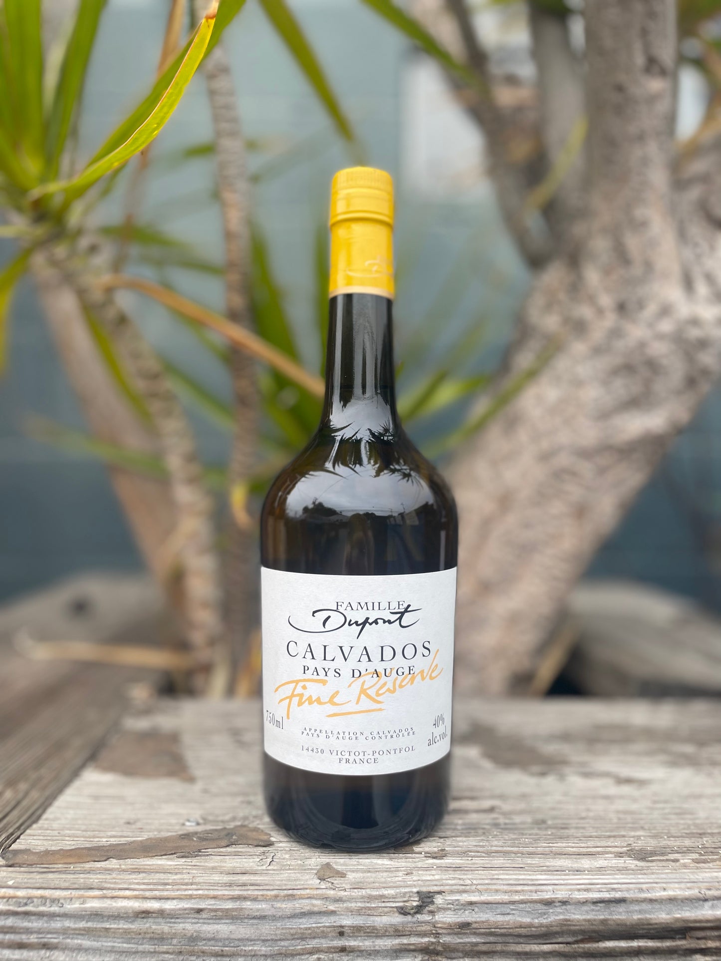 Calvados Toutain Réserve 3 ans