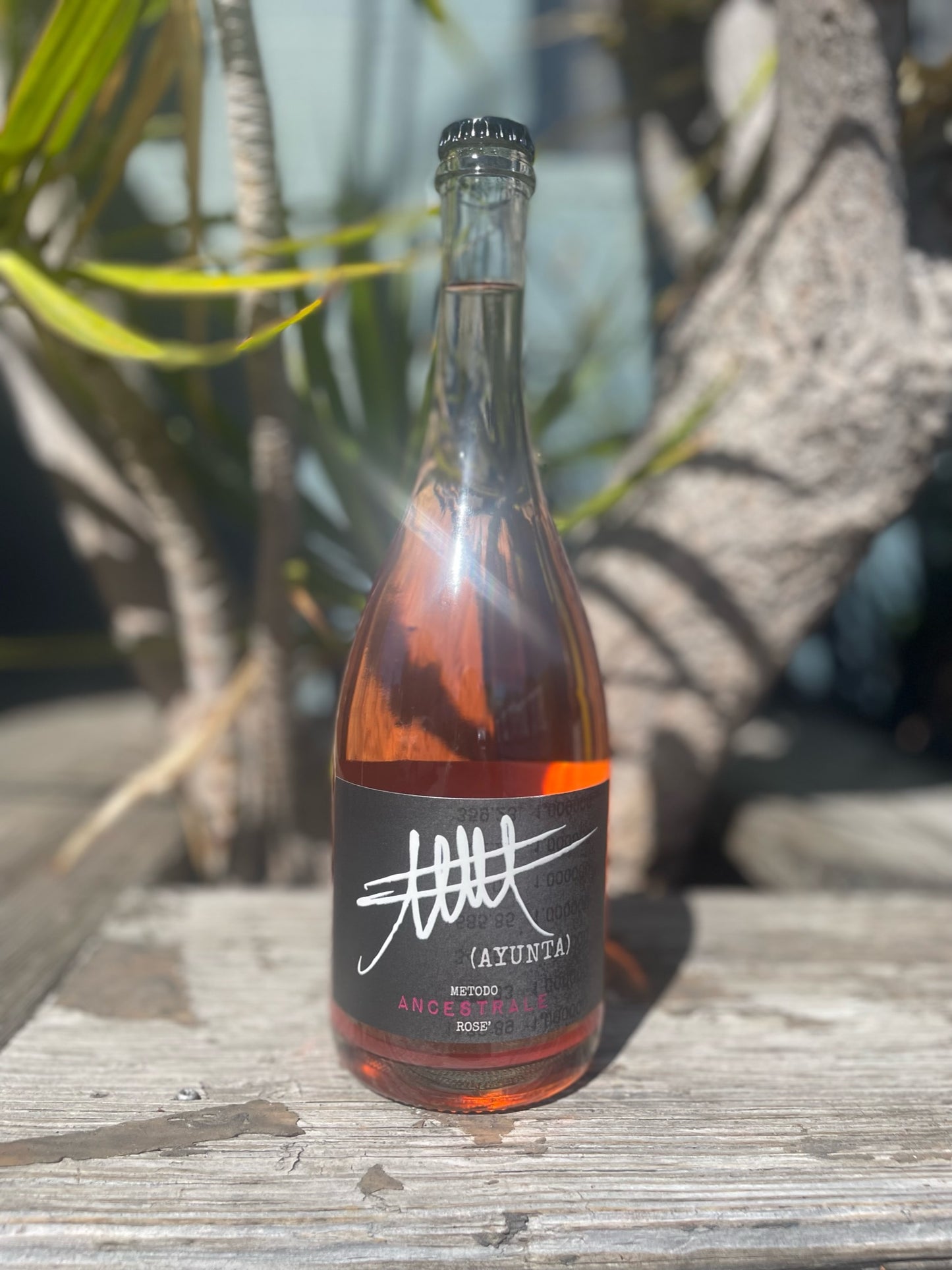 Ayunta, Metodo Ancestrale Rosé NV