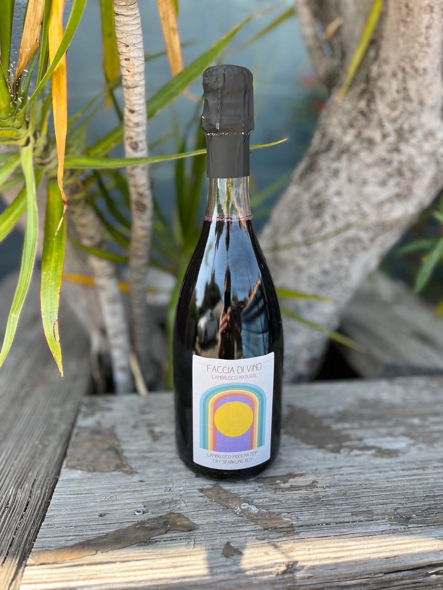 Faccia Di Vino Red Lambrusco NV