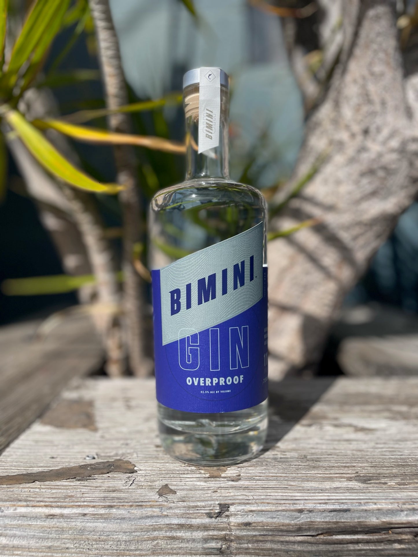 Bimini Overproof Gin