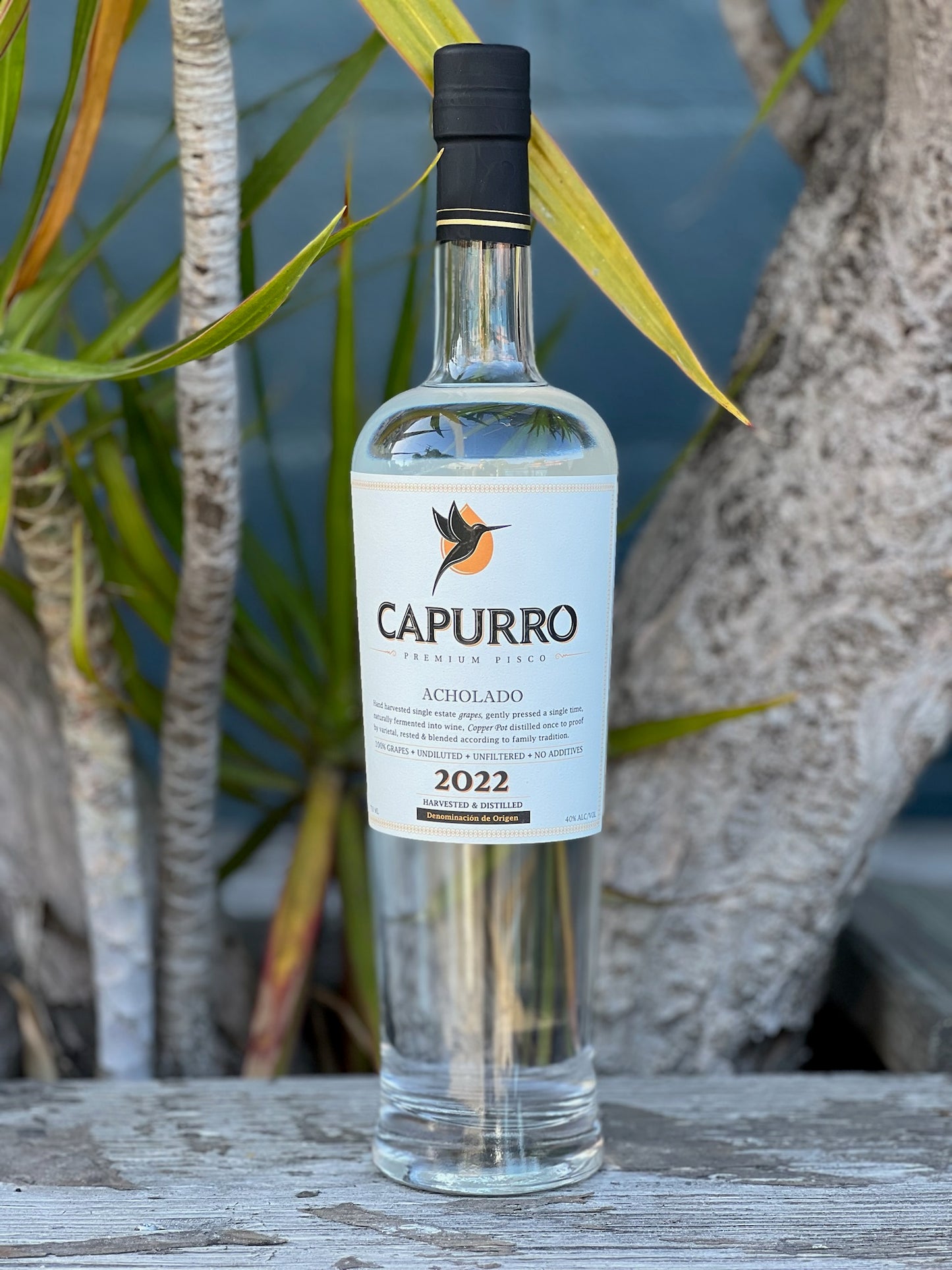 Capurro Pisco Acholado 2020