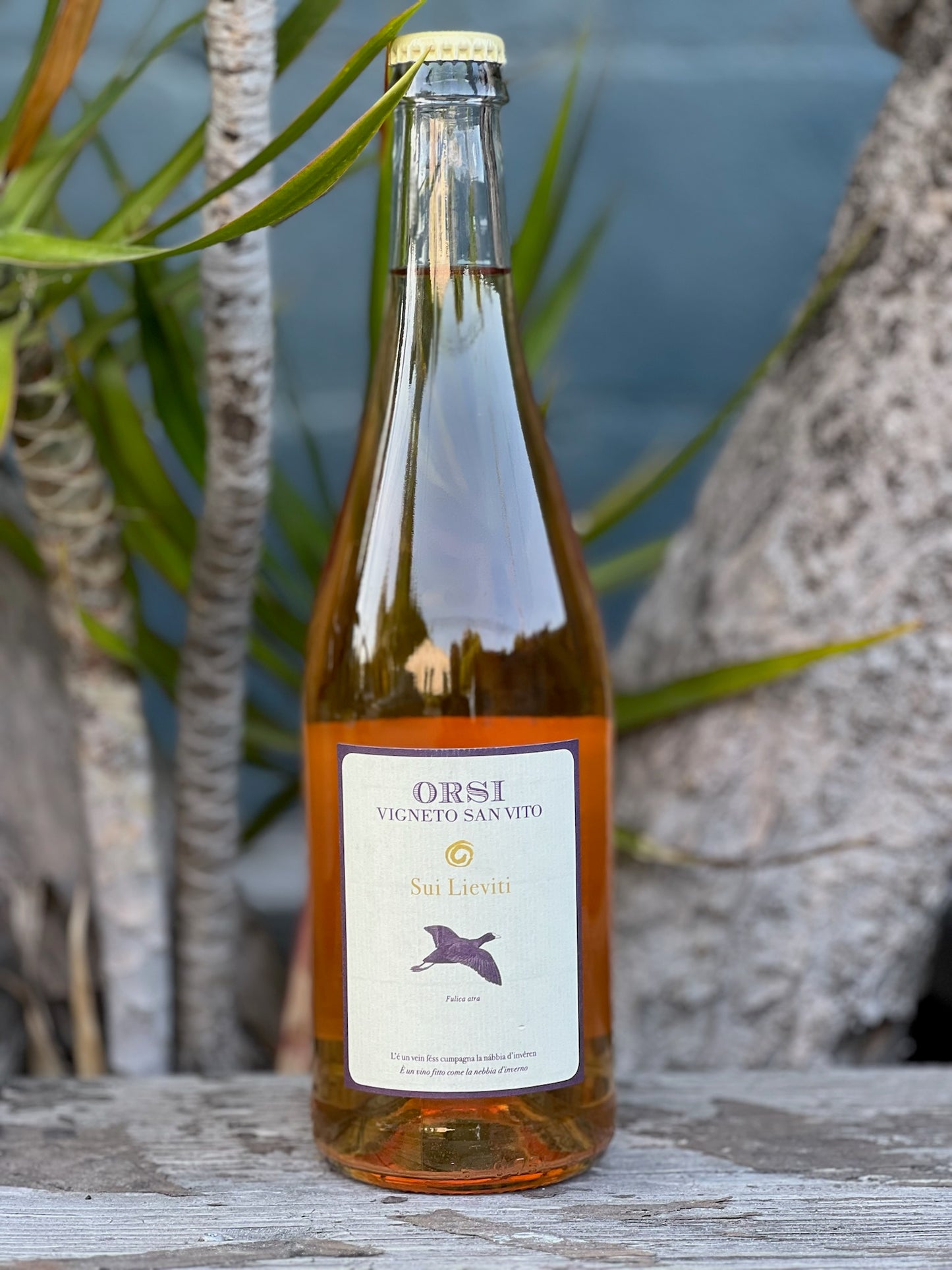 Orsi Sui Lieviti Vino Bianco Frizzante 2022