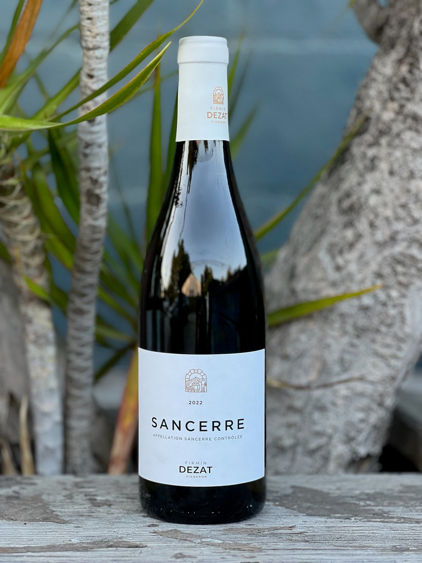 Firmin Dezat, Sancerre 2022