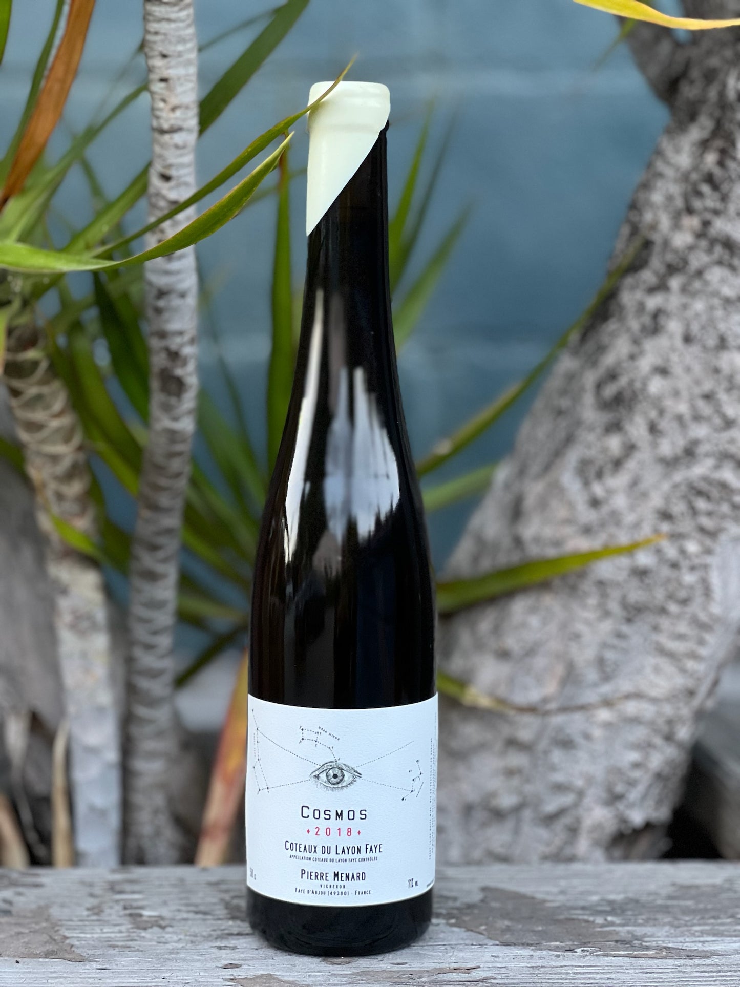 Pierre Menard Cosmos Chenin 2018