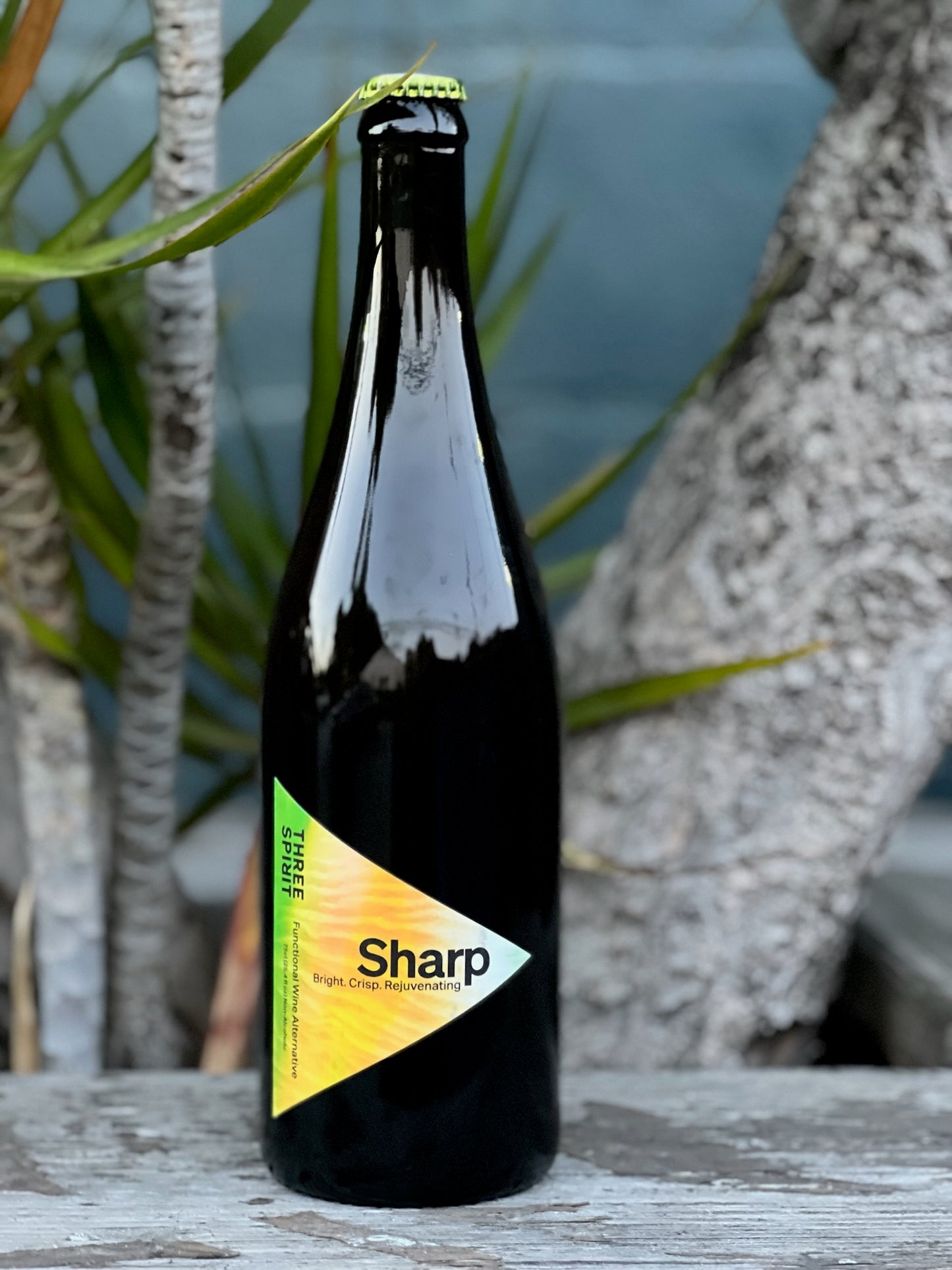 Three Spirit Blurred Vines Sharp