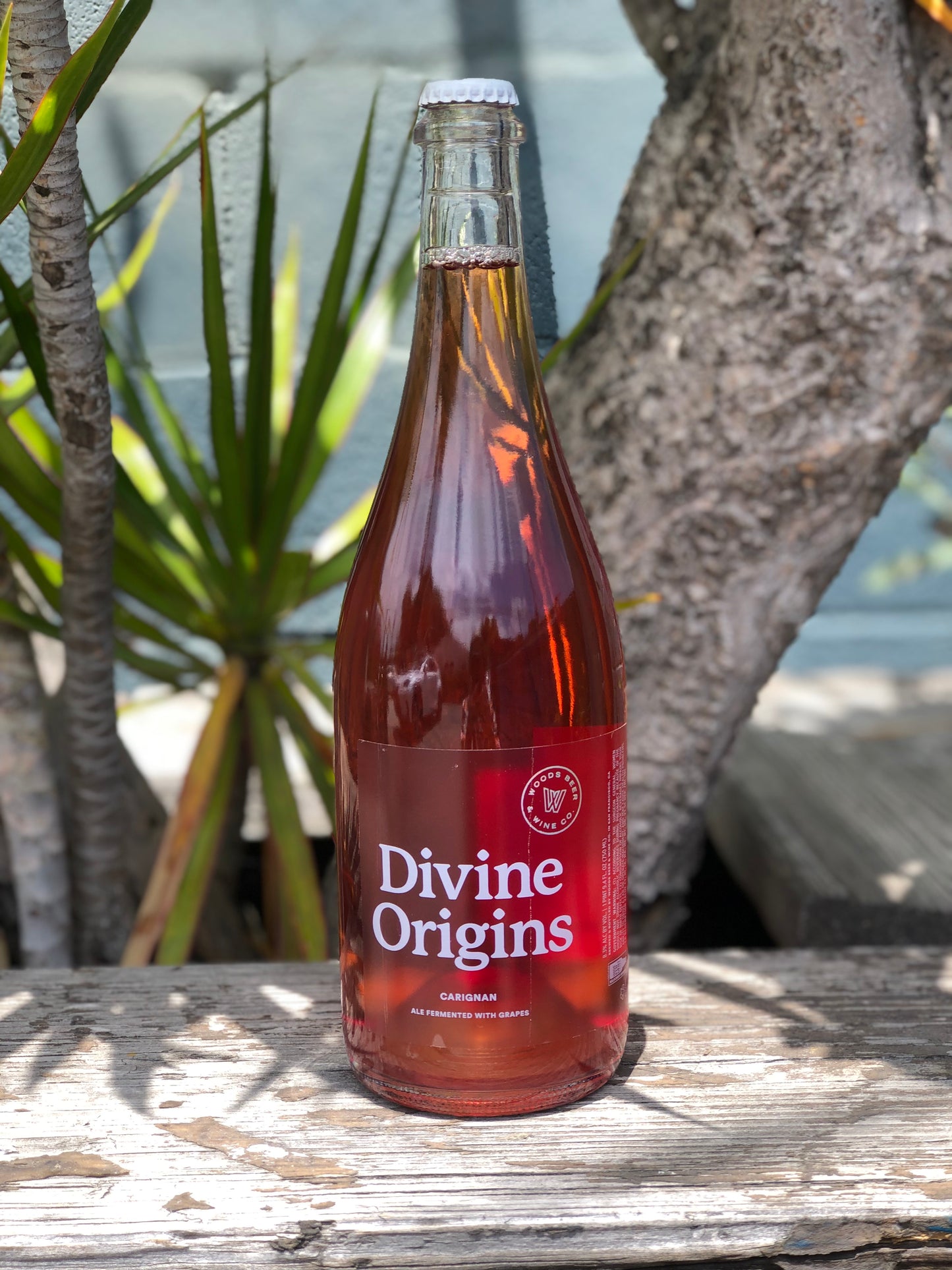 Woods Divine Origins Pilsner/Carignan 2020