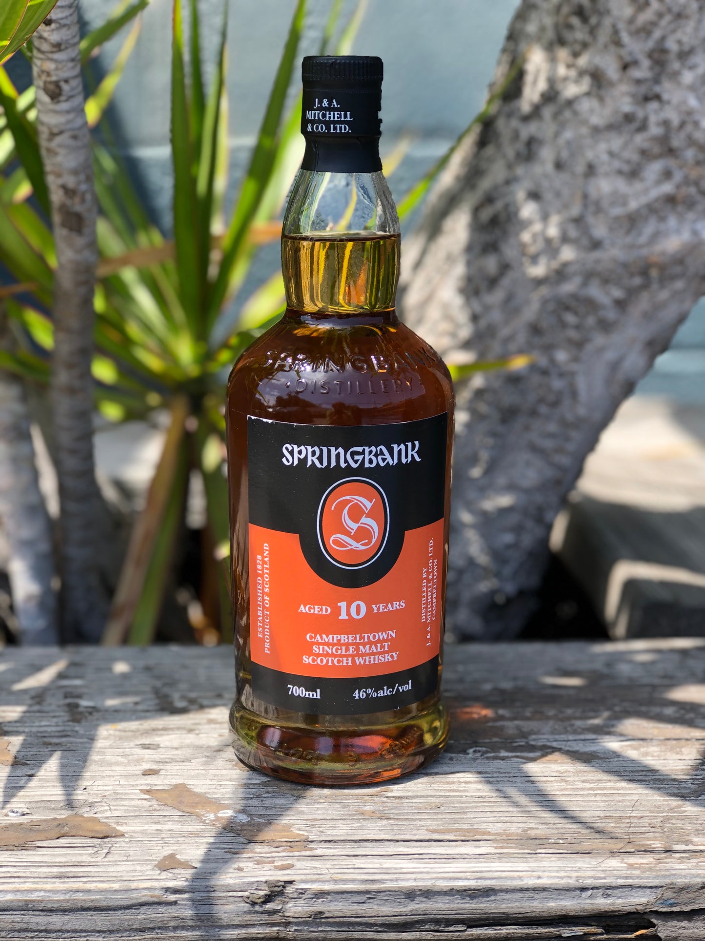 Springbank 10 Yr Single Malt