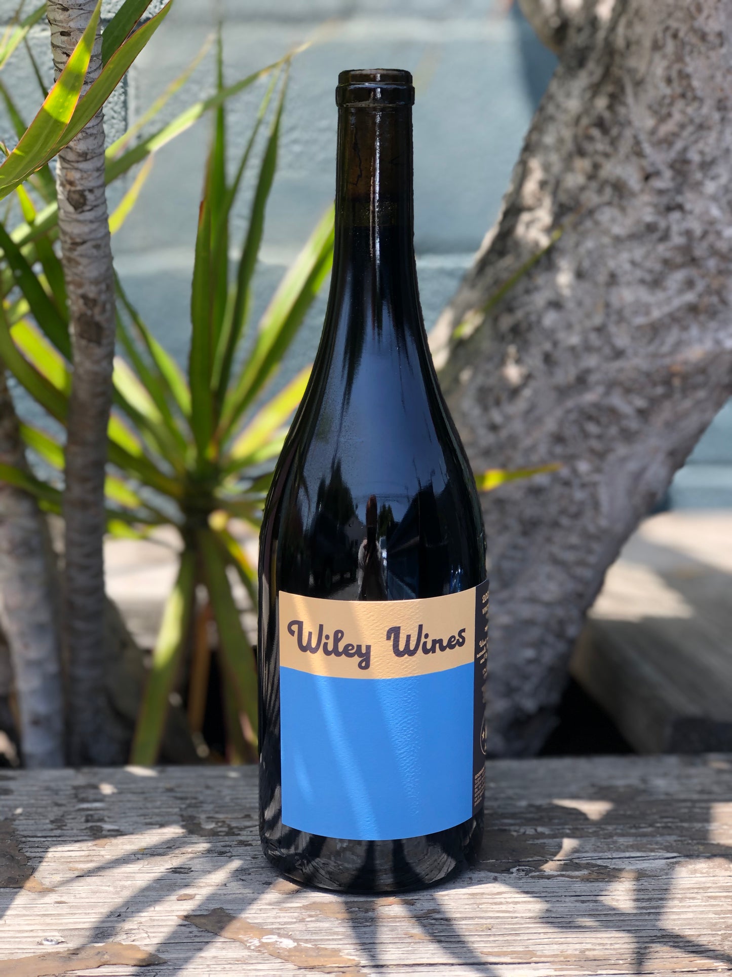 Wiley Wines Carignan 2022