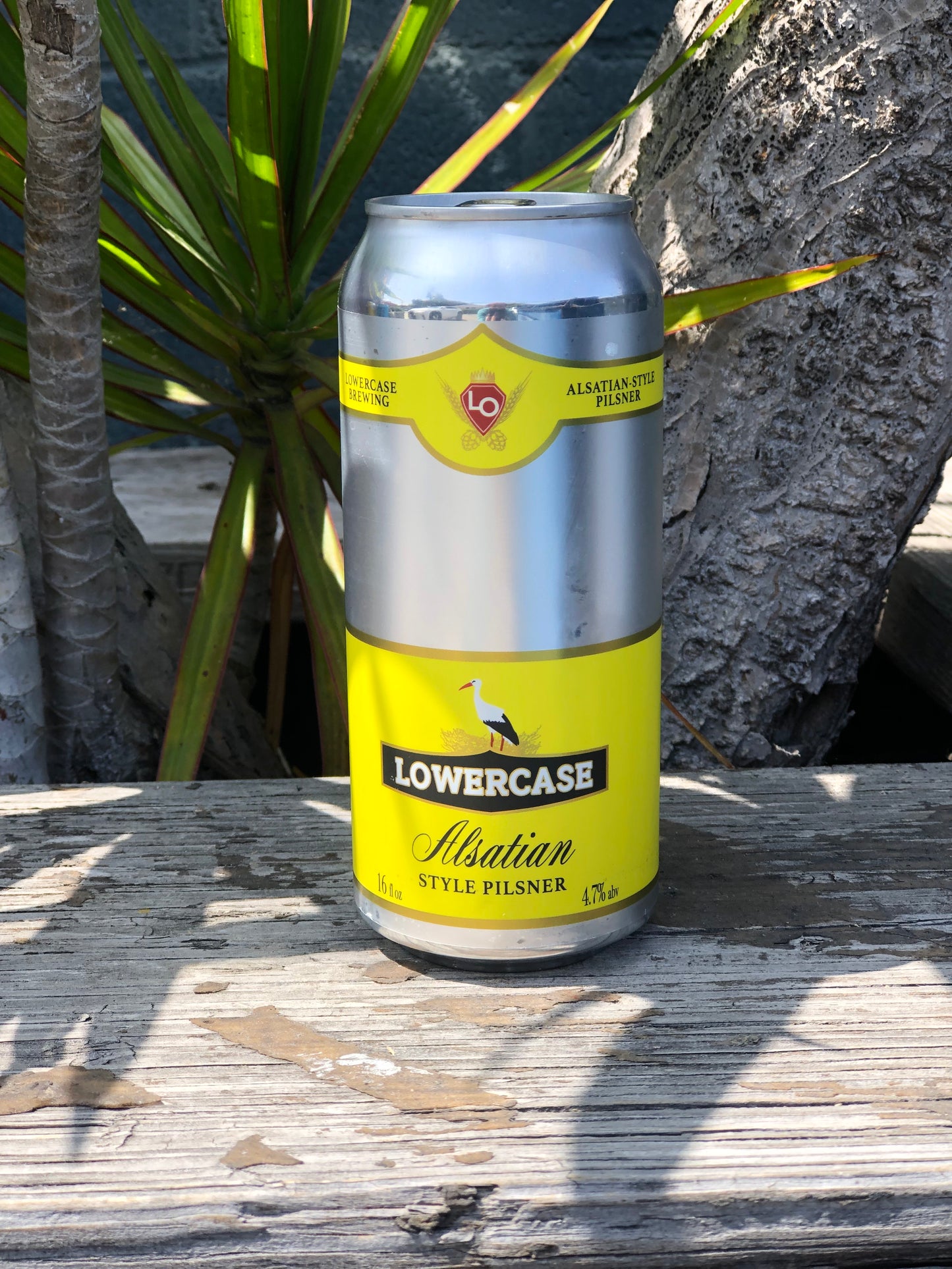 Lowercase Alsatian Pils CANS