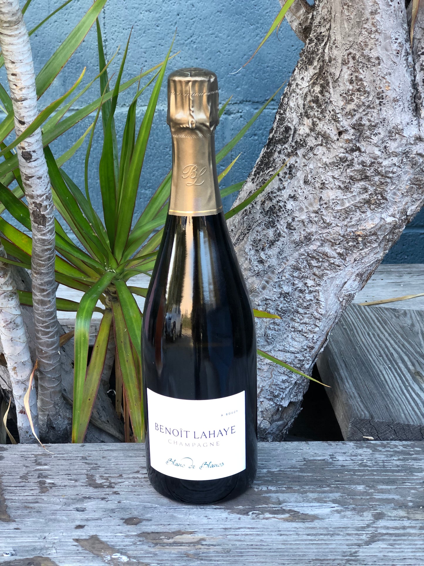 Benoit Lahaye Champagne Grand Cru Blanc de Blancs Nature NV